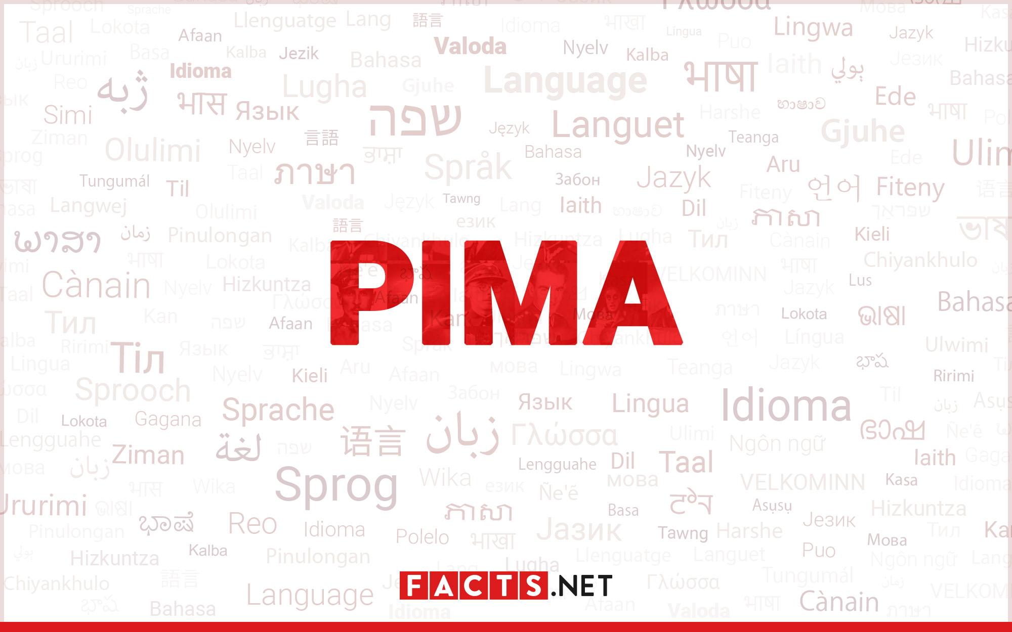 13-captivating-facts-about-pima