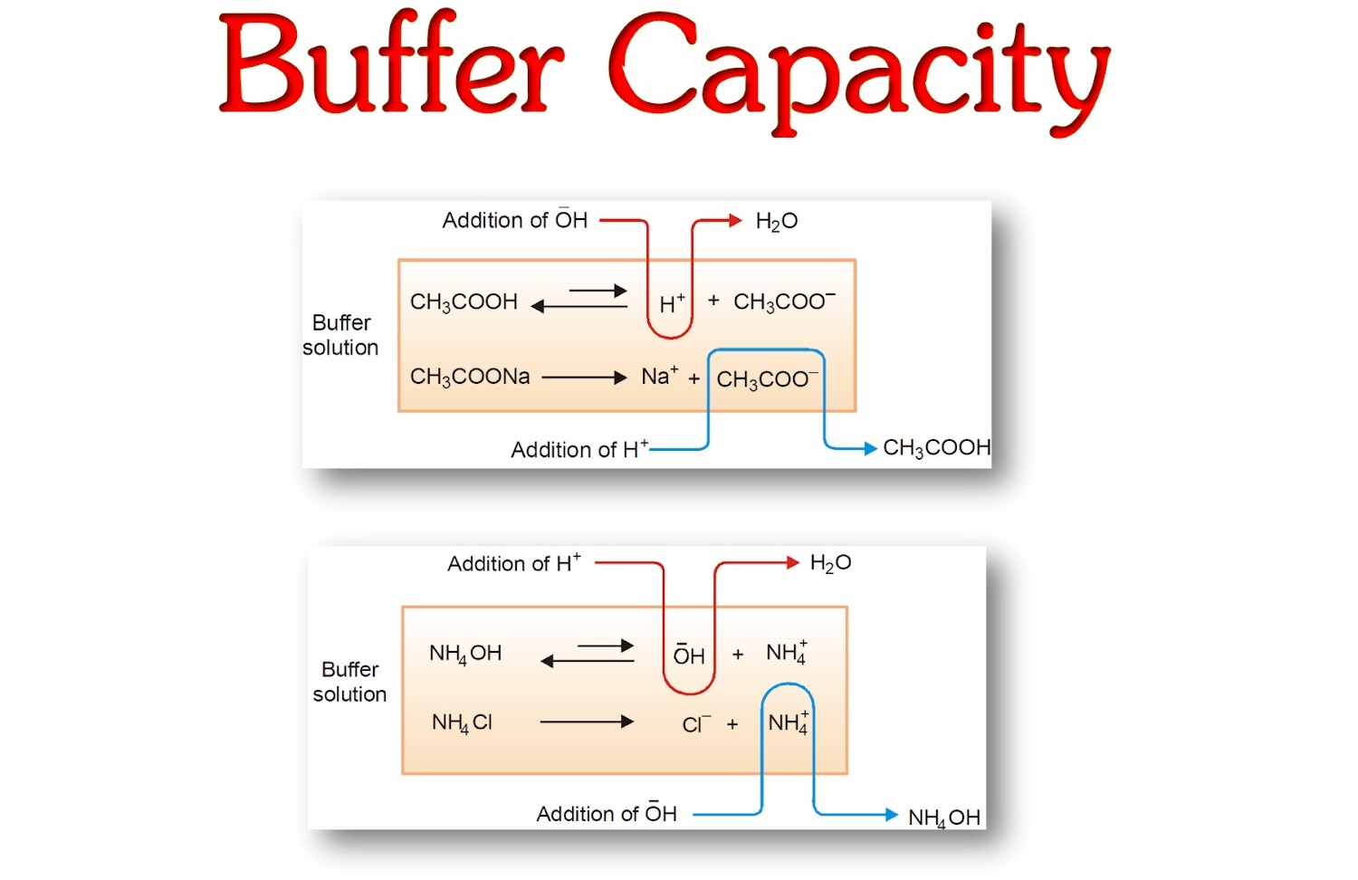 13 Enigmatic Facts About Buffer Capacity 