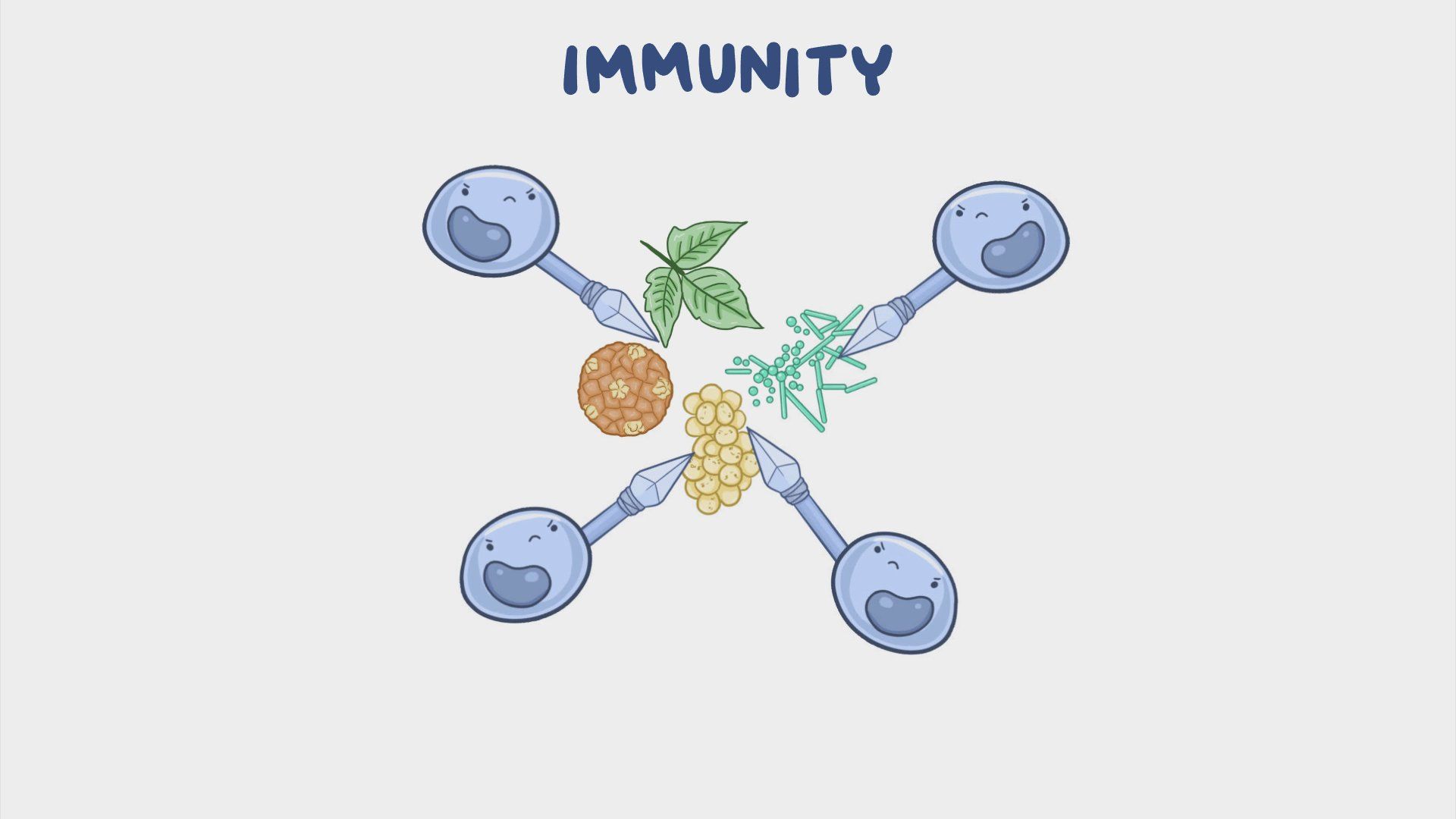 13-enigmatic-facts-about-innate-immune-response