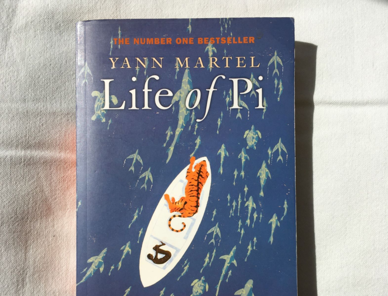 13-enigmatic-facts-about-life-of-pi-yann-martel