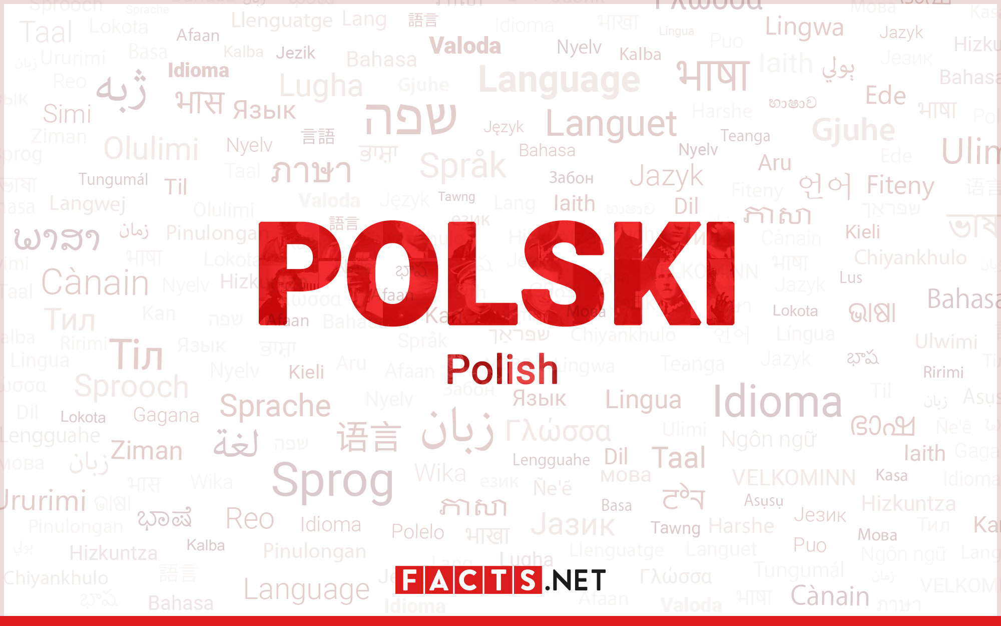 11 Key Facts about the Polish Language, Article