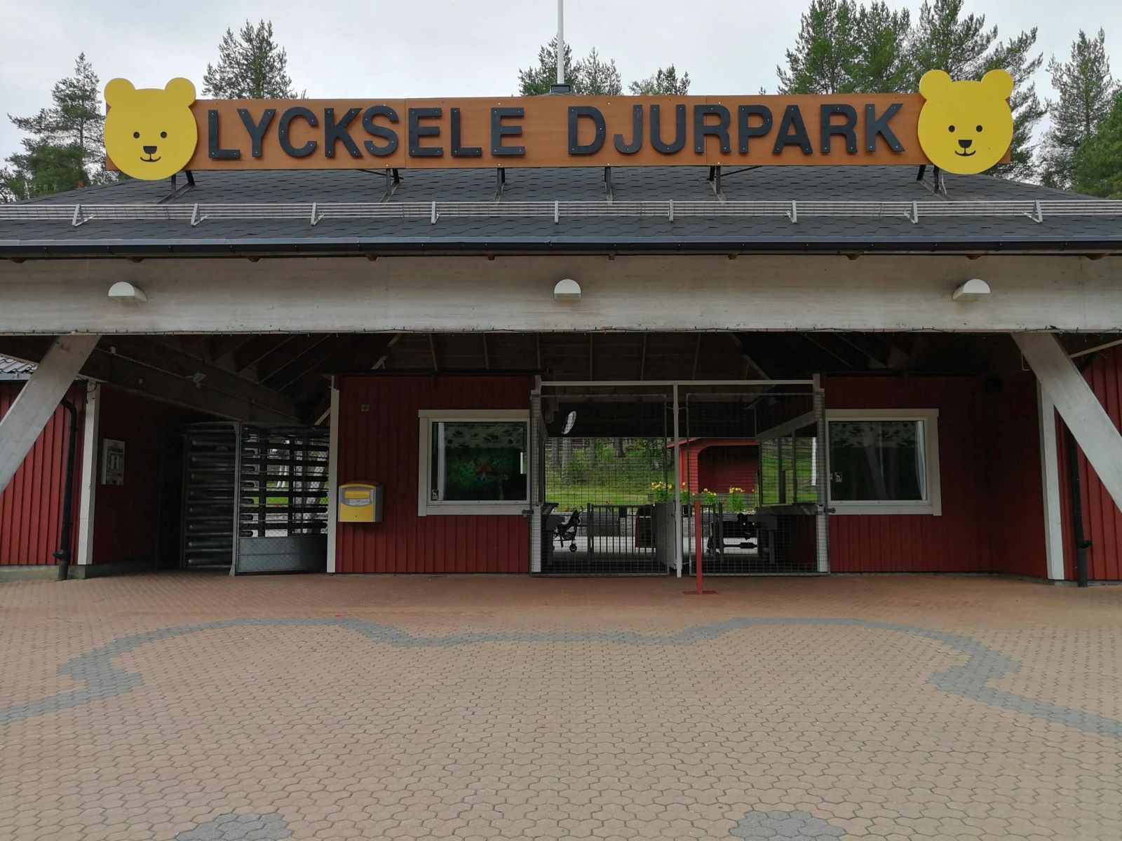 13-extraordinary-facts-about-lycksele-zoo