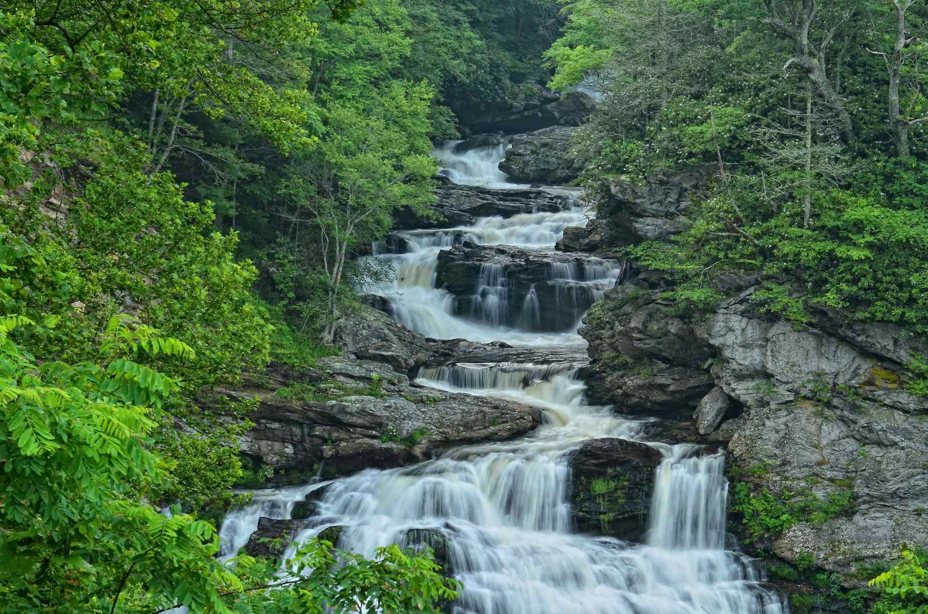 13-extraordinary-facts-about-nantahala-national-forest