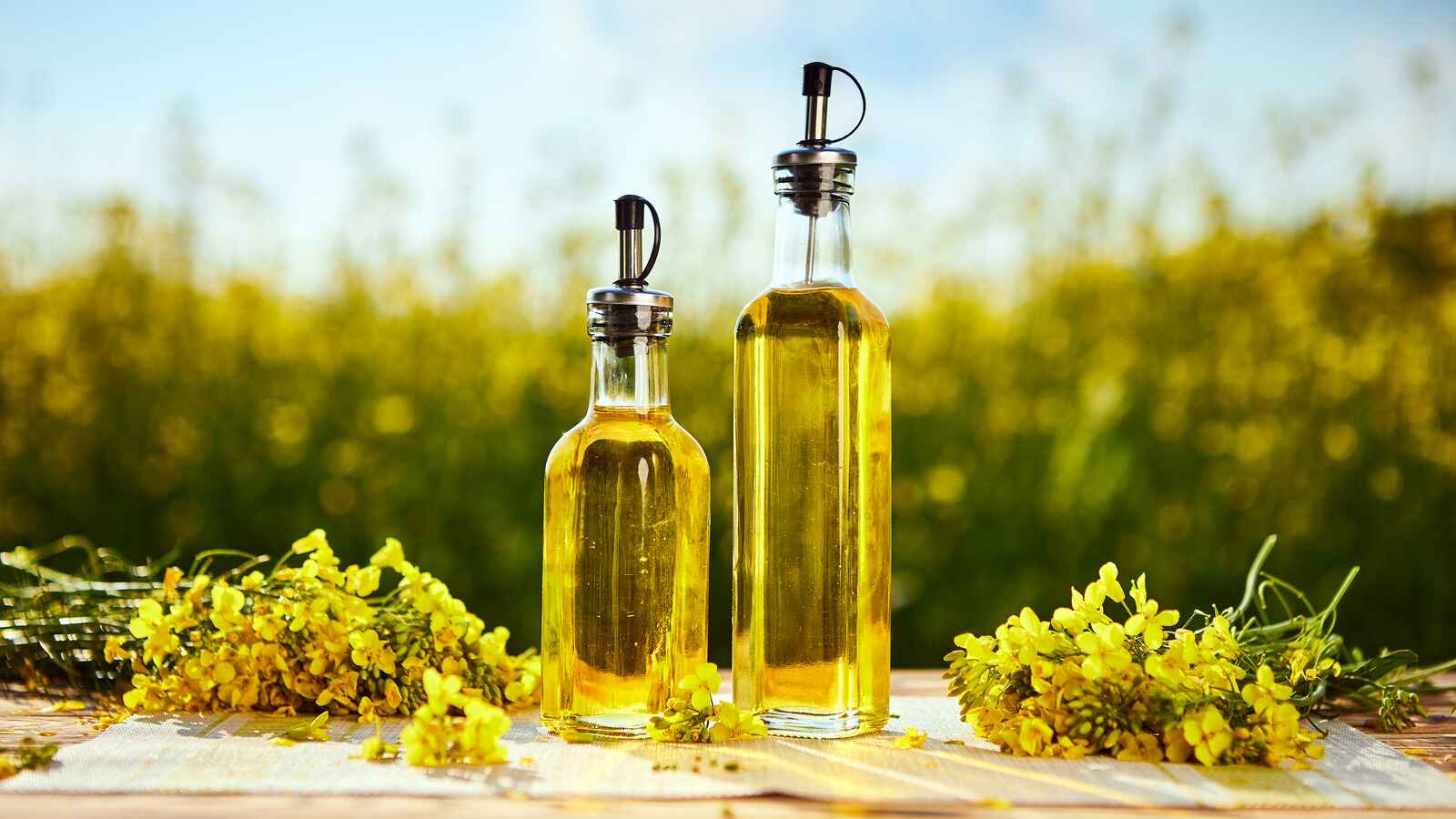 13-facts-about-canola-oil