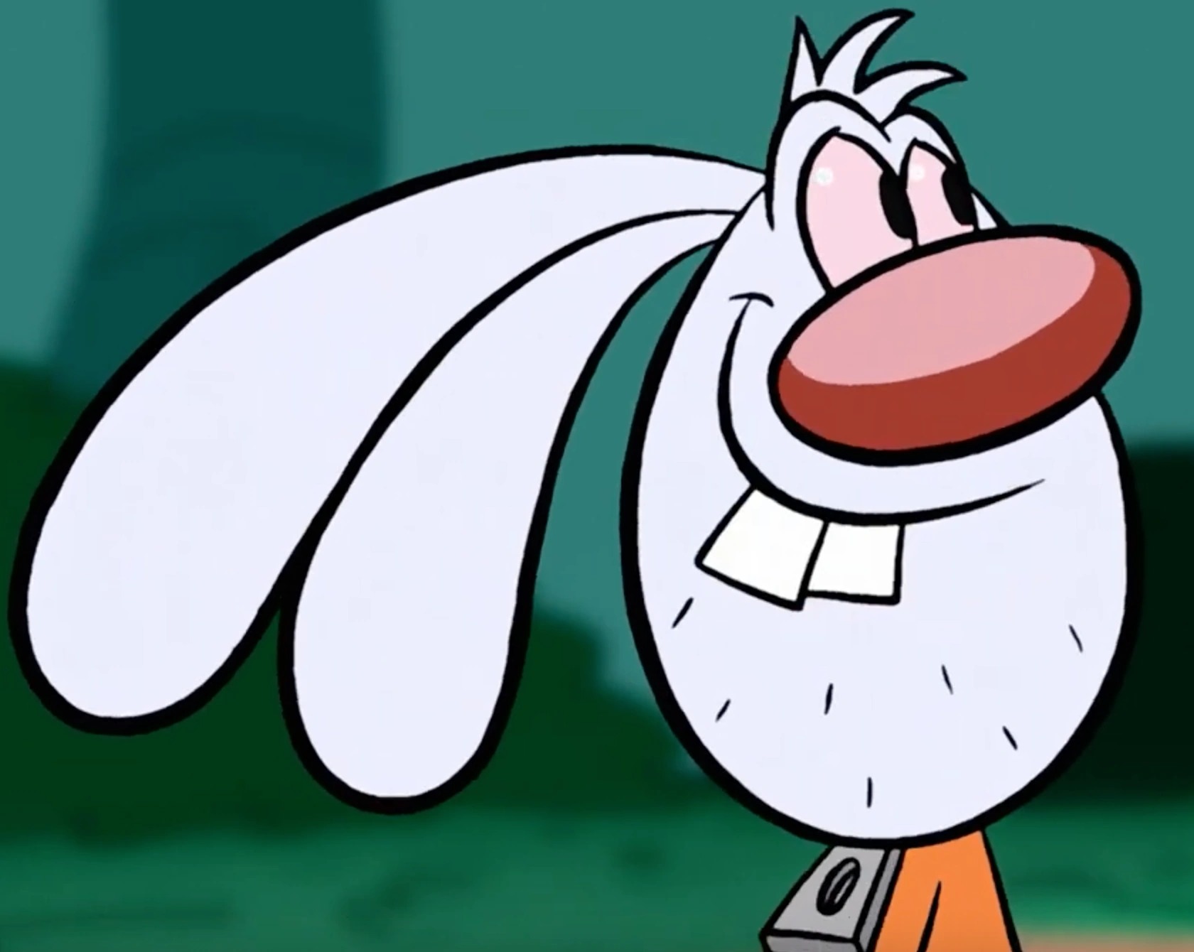 13-facts-about-mr-whiskers-brandy-mr-whiskers