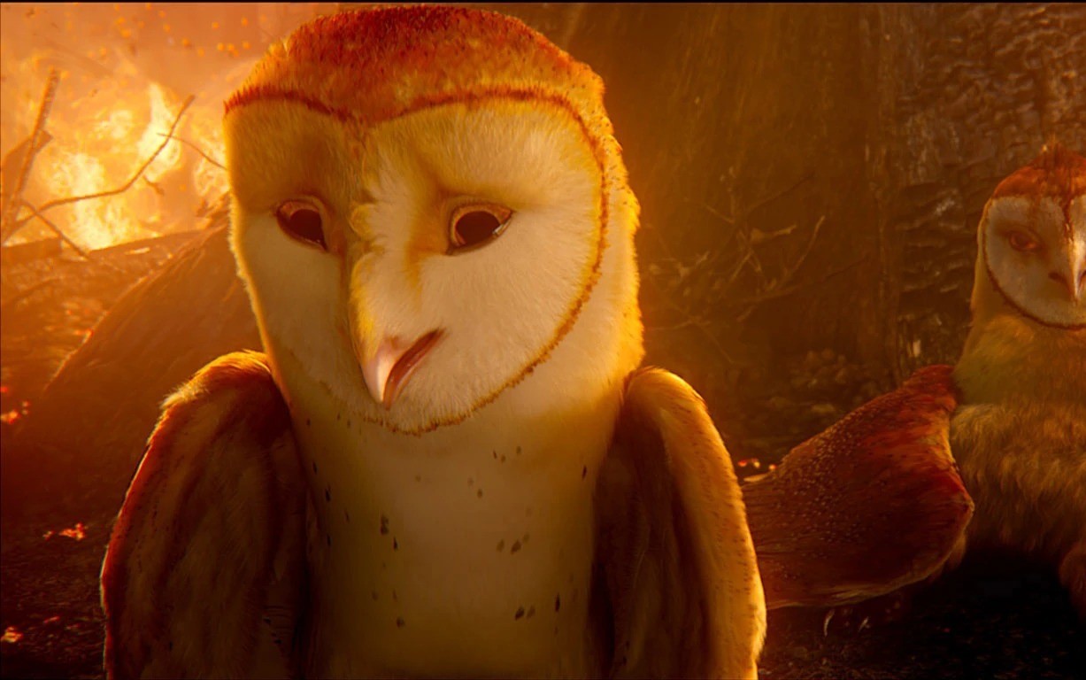 13-facts-about-soren-legend-of-the-guardians-the-owls-of-gahoole