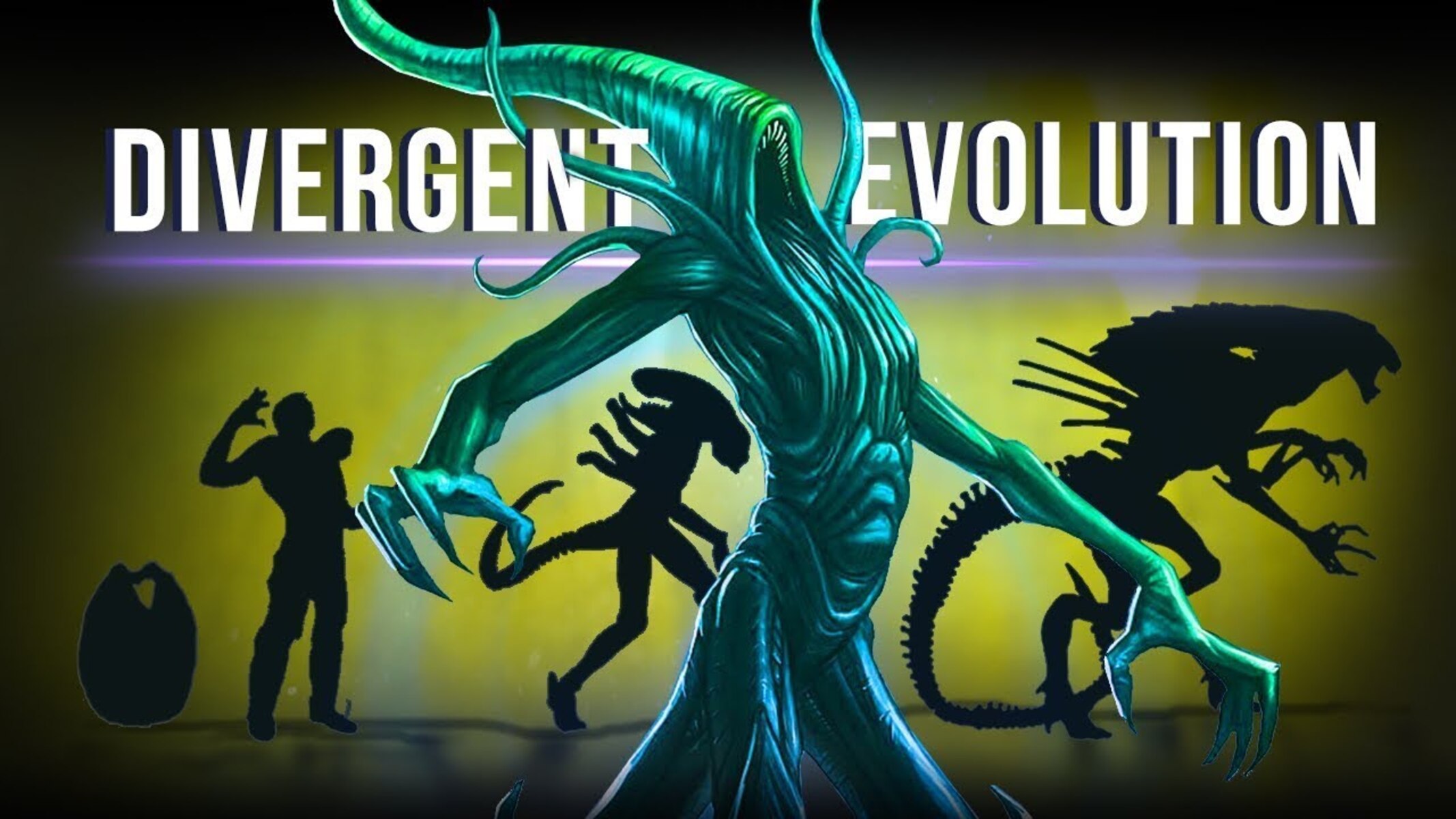 13-fascinating-facts-about-divergent-evolution