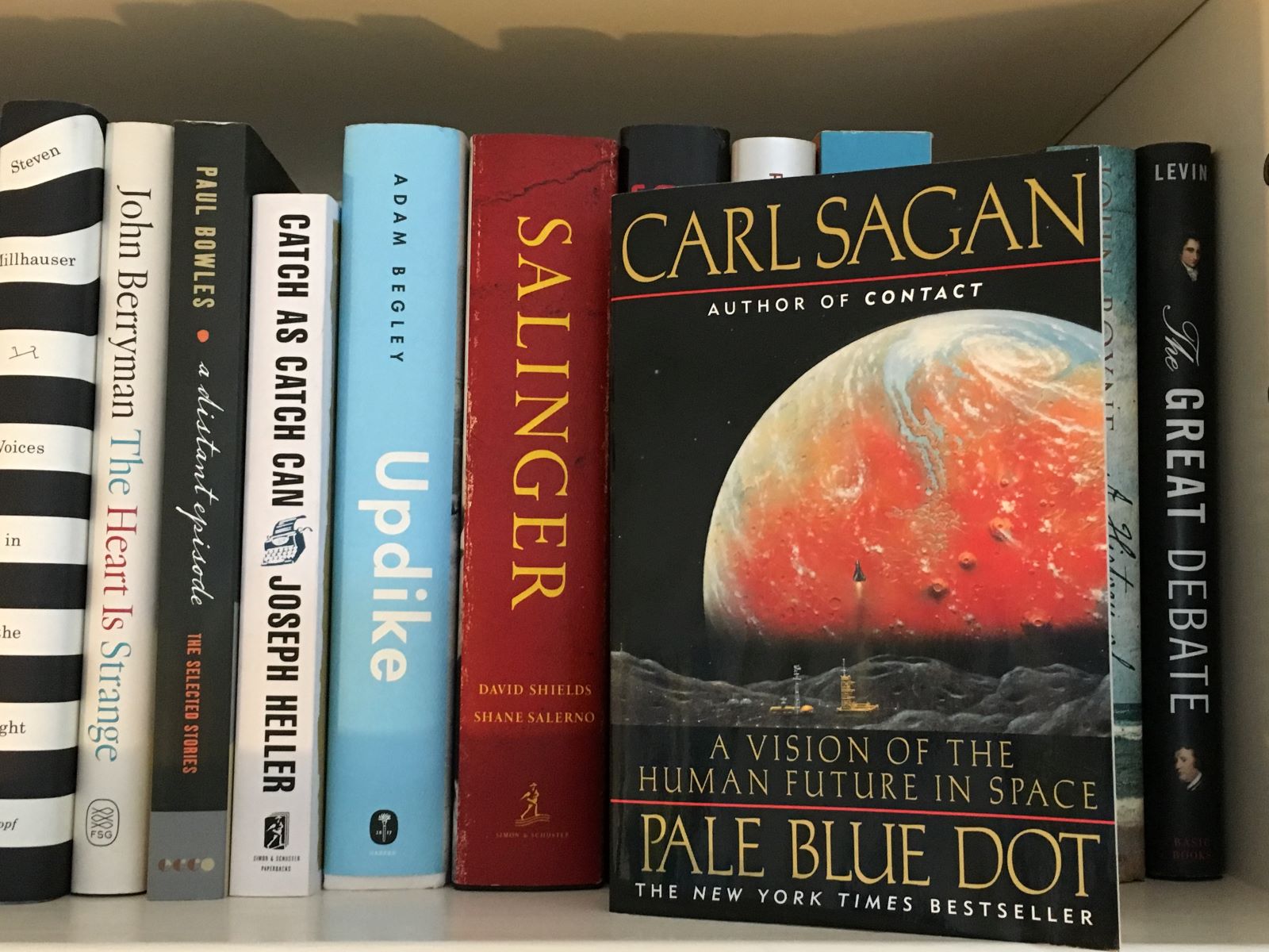 13-fascinating-facts-about-pale-blue-dot-carl-sagan