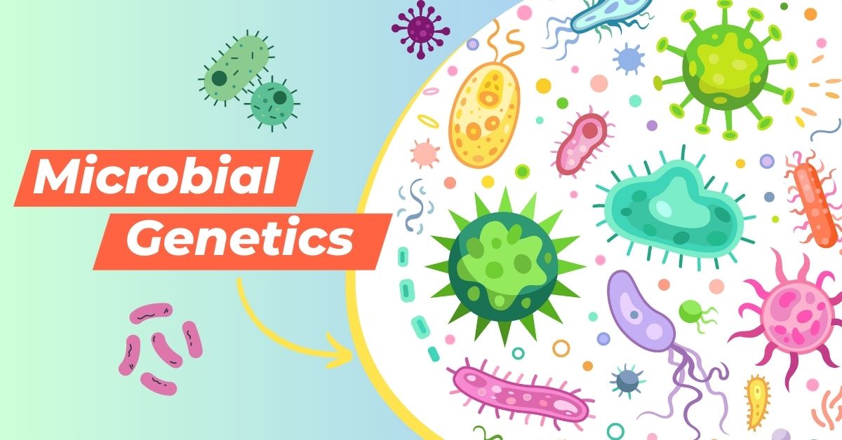 13-intriguing-facts-about-microbial-genetics