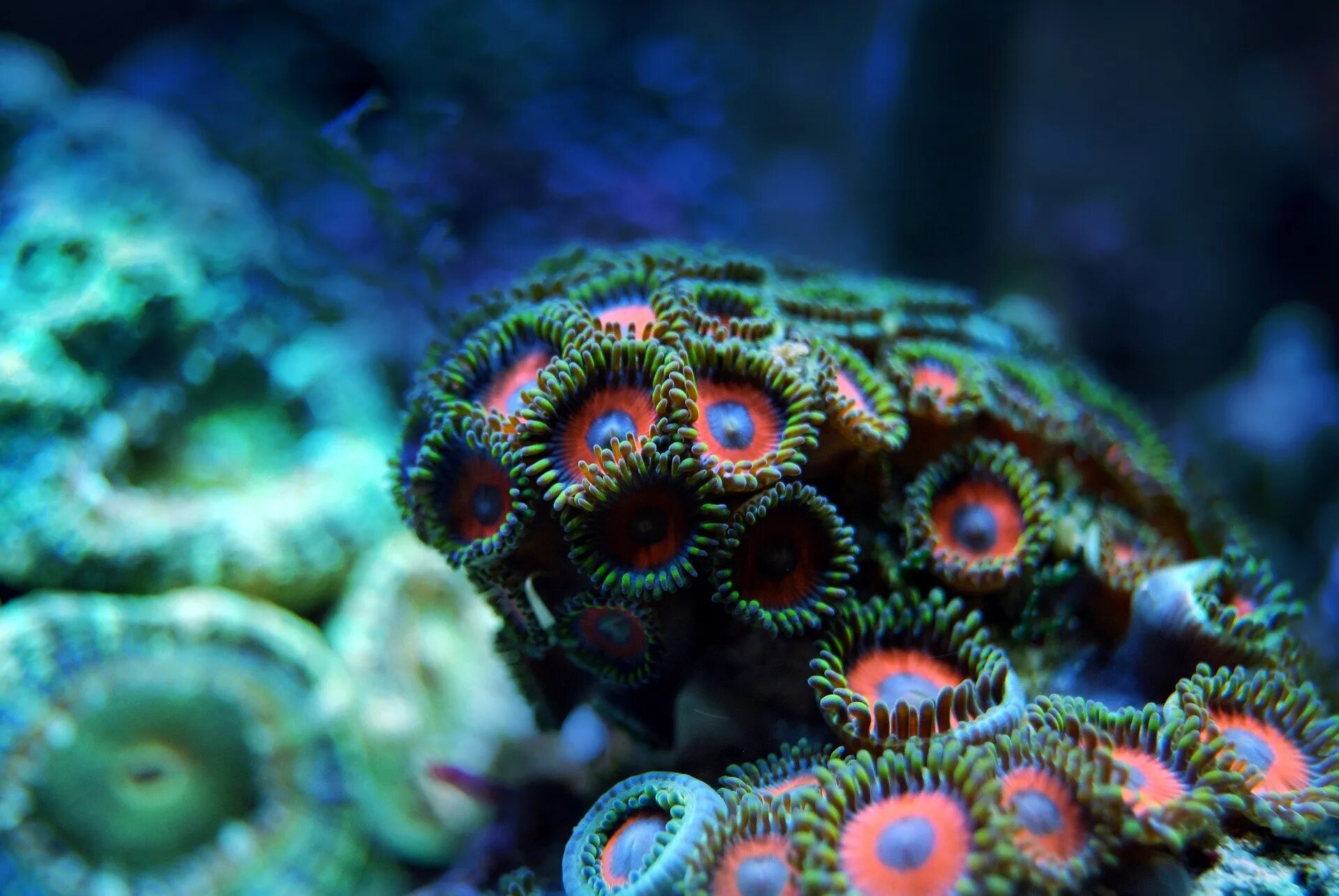 13-intriguing-facts-about-san-bernardo-corals-national-natural-park
