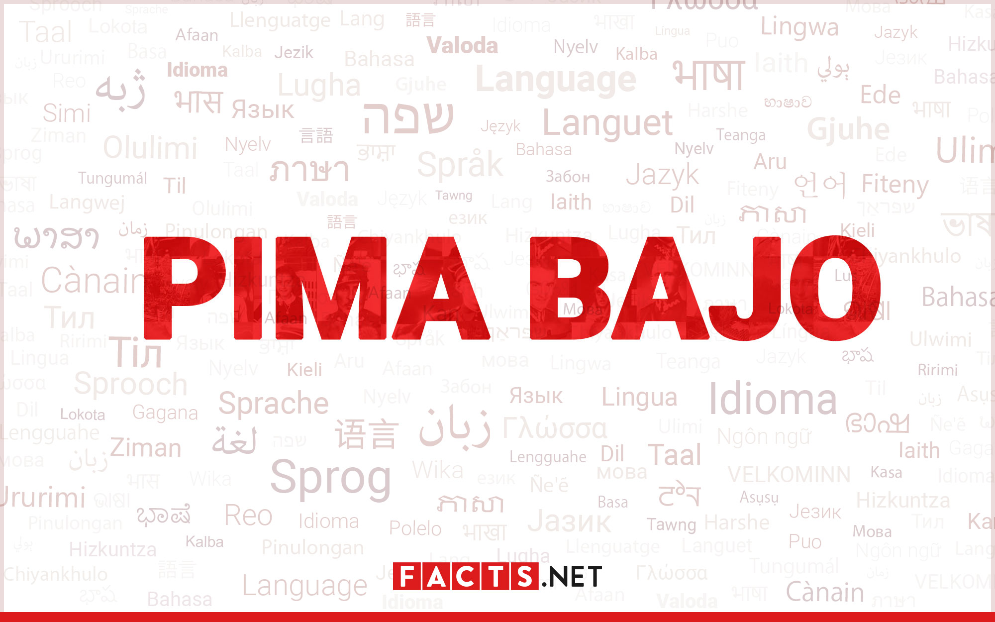 13-mind-blowing-facts-about-pima-bajo