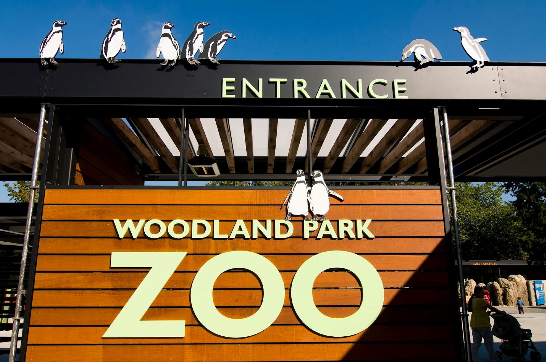 13-mind-blowing-facts-about-woodland-park-zoo