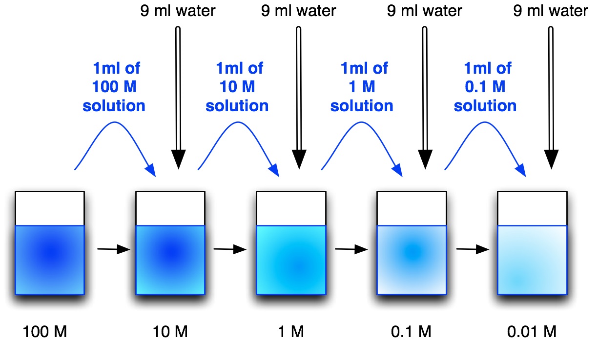 13-surprising-facts-about-dilution