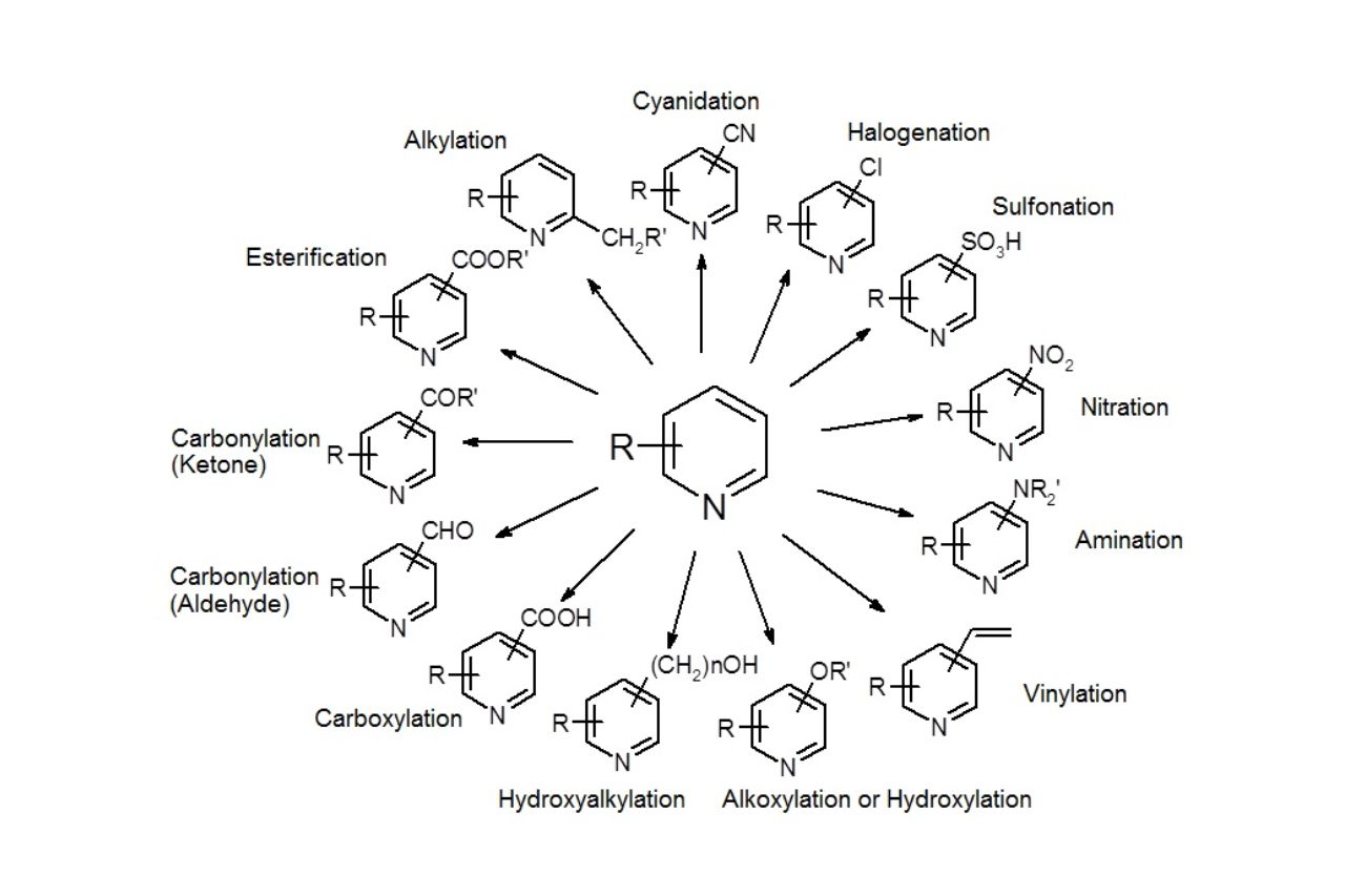 13-surprising-facts-about-organic-synthesis