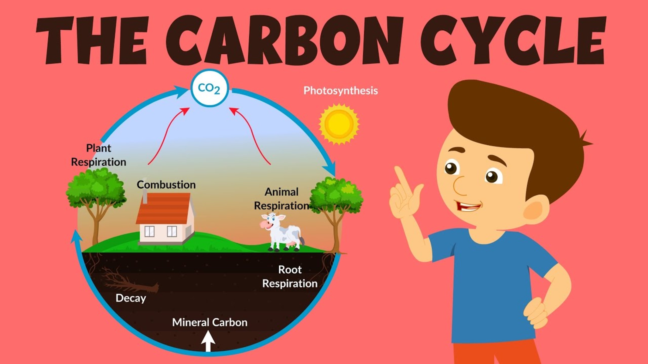 13-unbelievable-facts-about-carbon-cycle