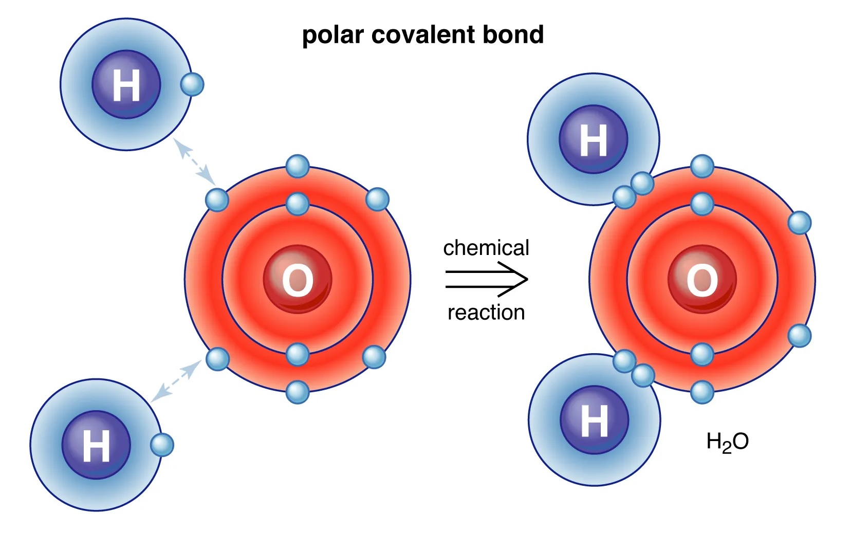 13-unbelievable-facts-about-covalent-bond