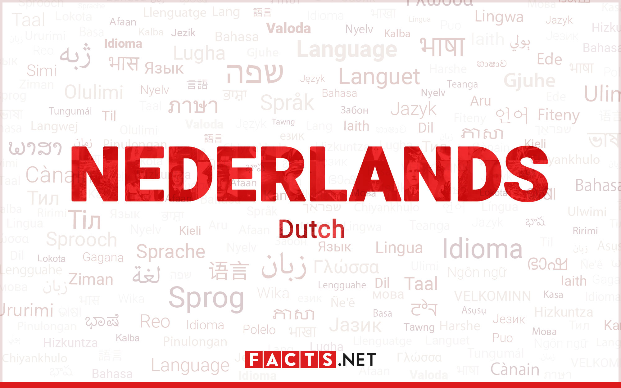 13 Unbelievable Facts About Dutch Language