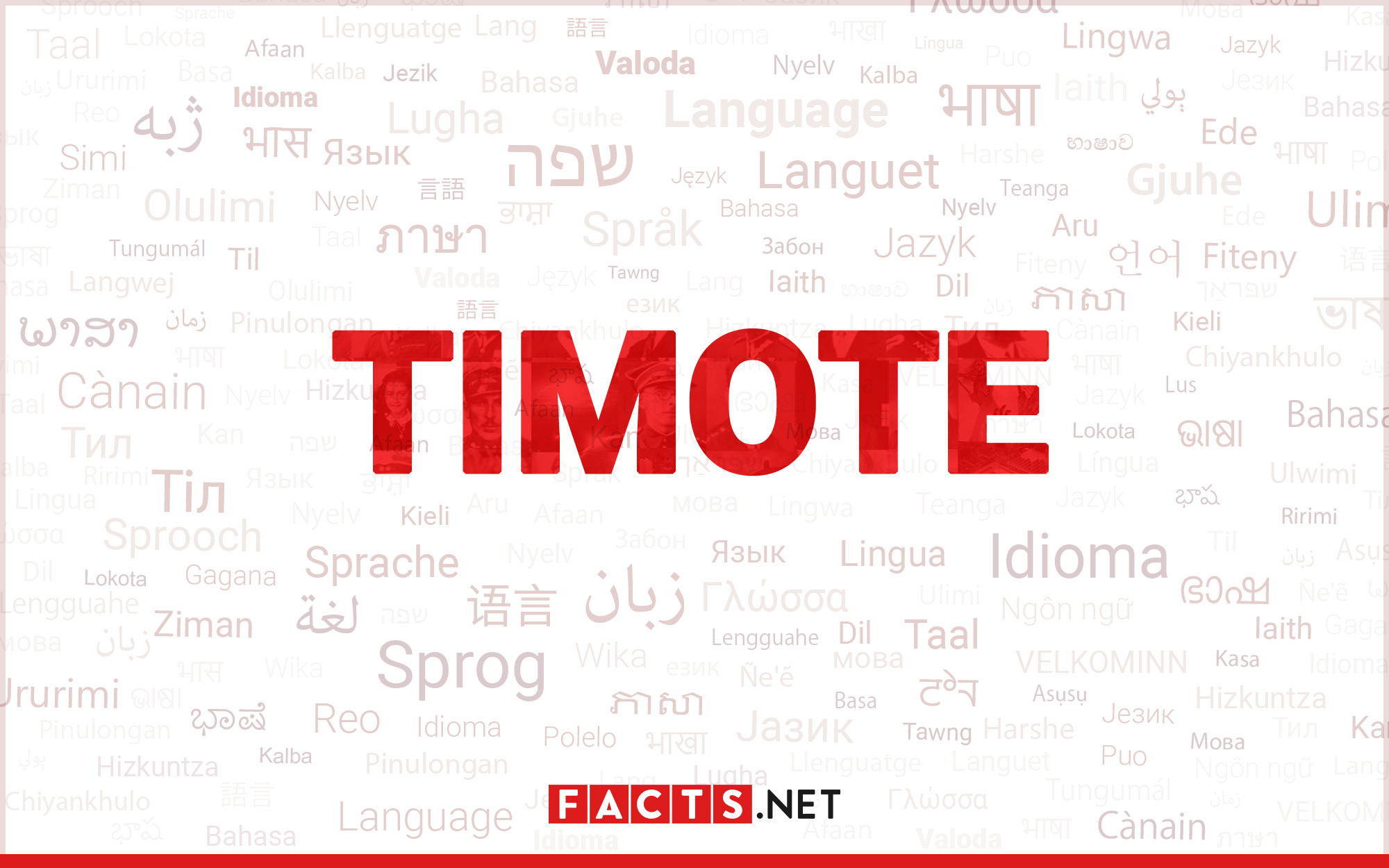 14-astonishing-facts-about-timote