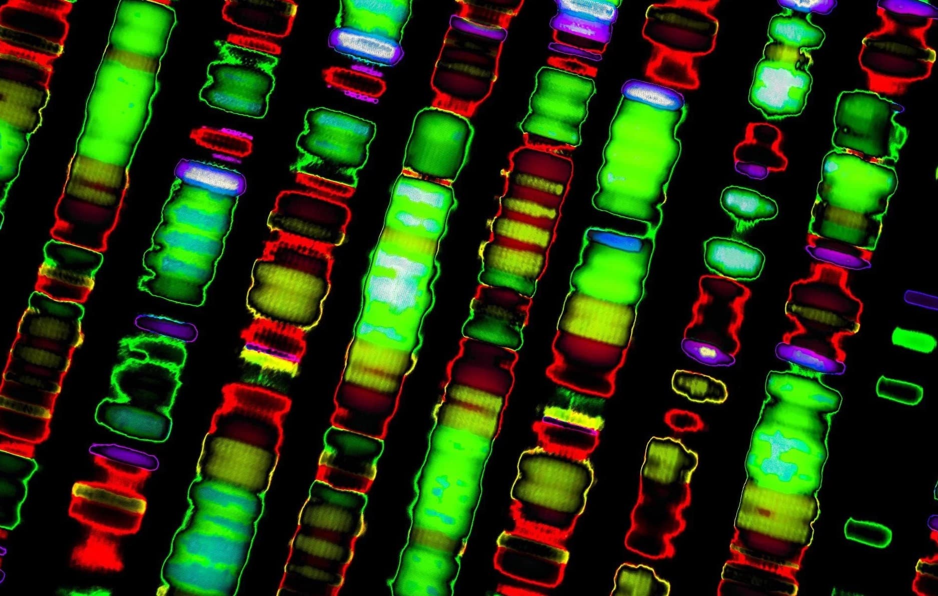 14-astounding-facts-about-genome-sequencing