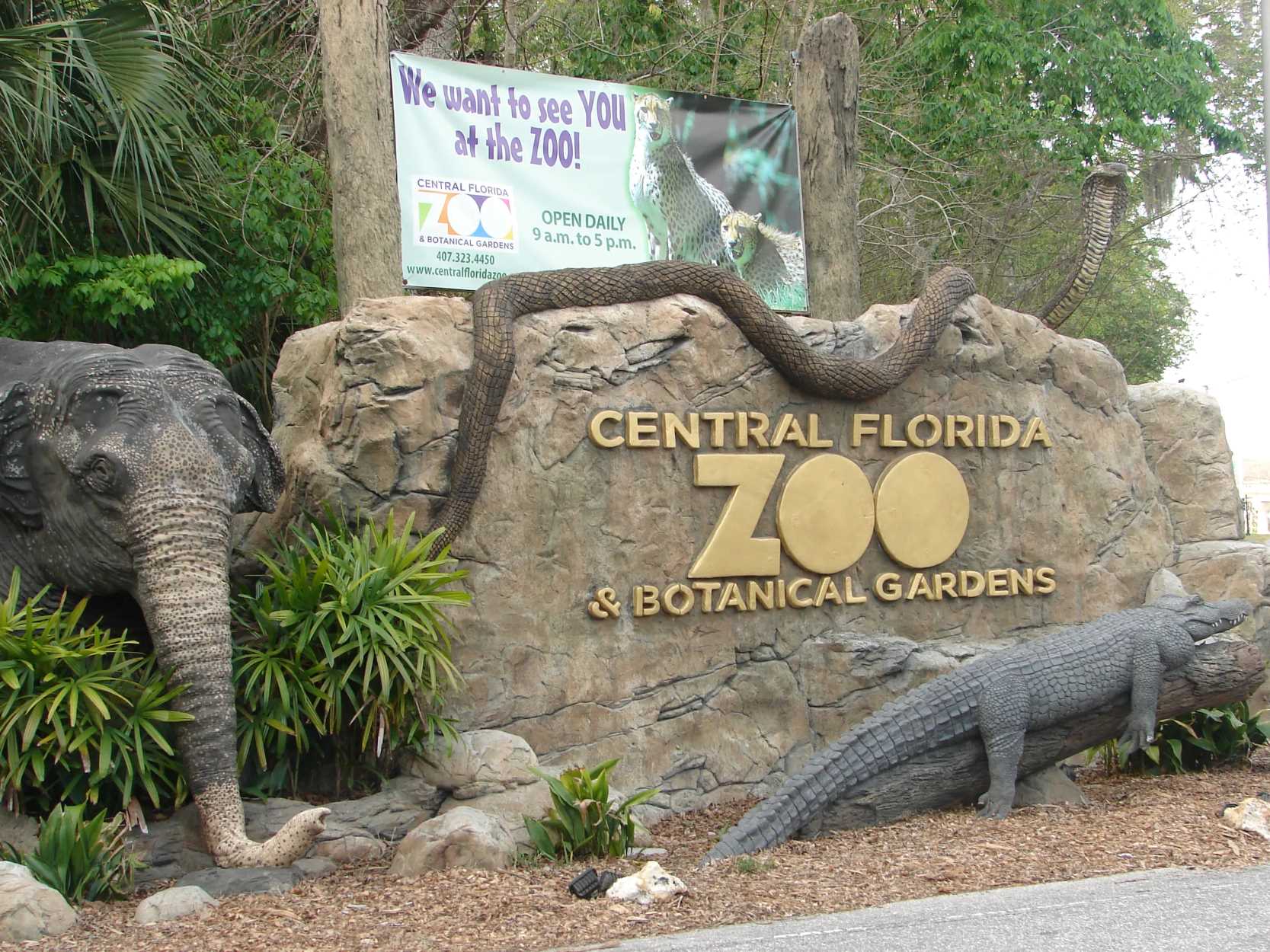 14-captivating-facts-about-central-florida-zoo-and-botanical-gardens