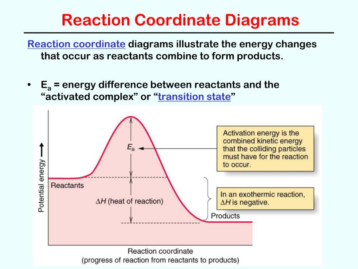 14-captivating-facts-about-reaction-coordinate