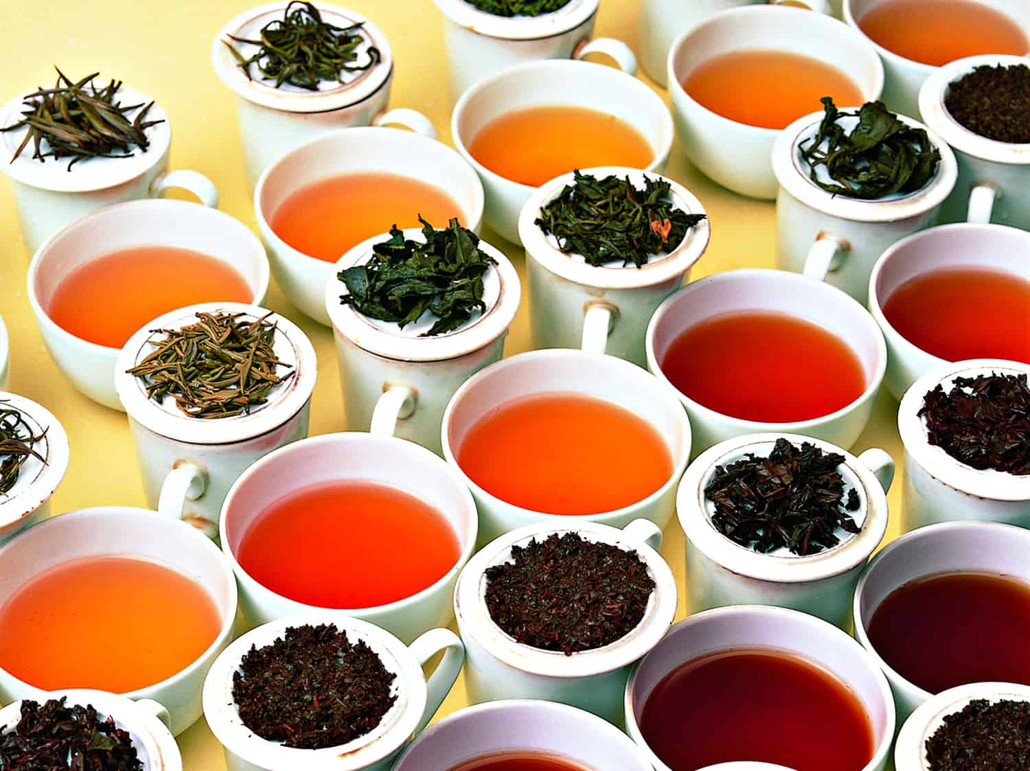14-captivating-facts-about-tea-tasting