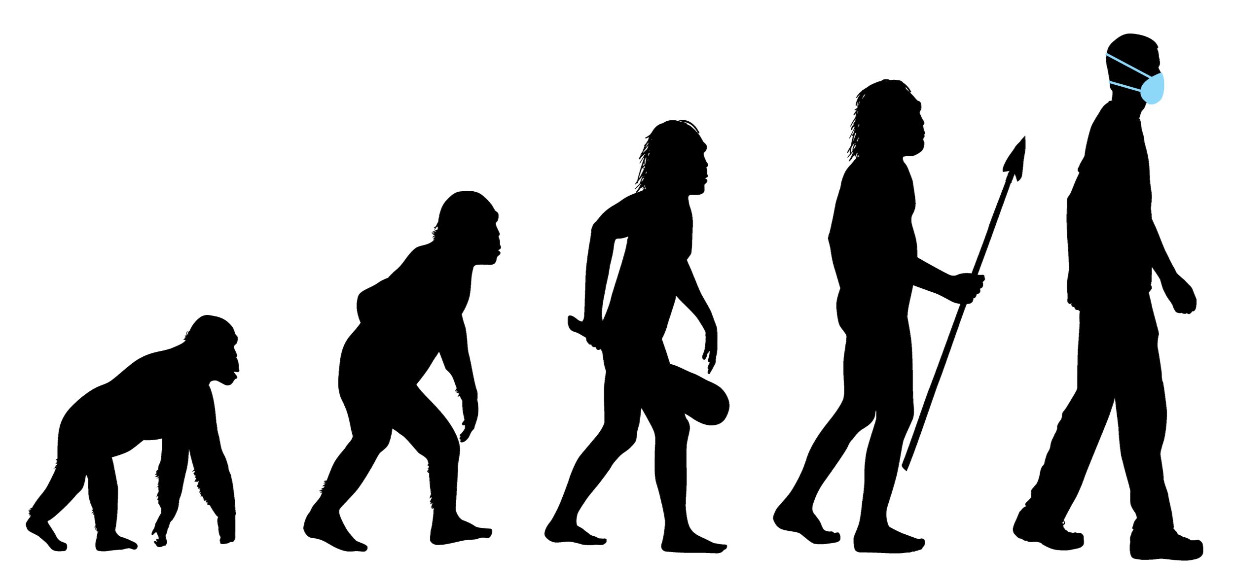 14-enigmatic-facts-about-evolutionary-biology