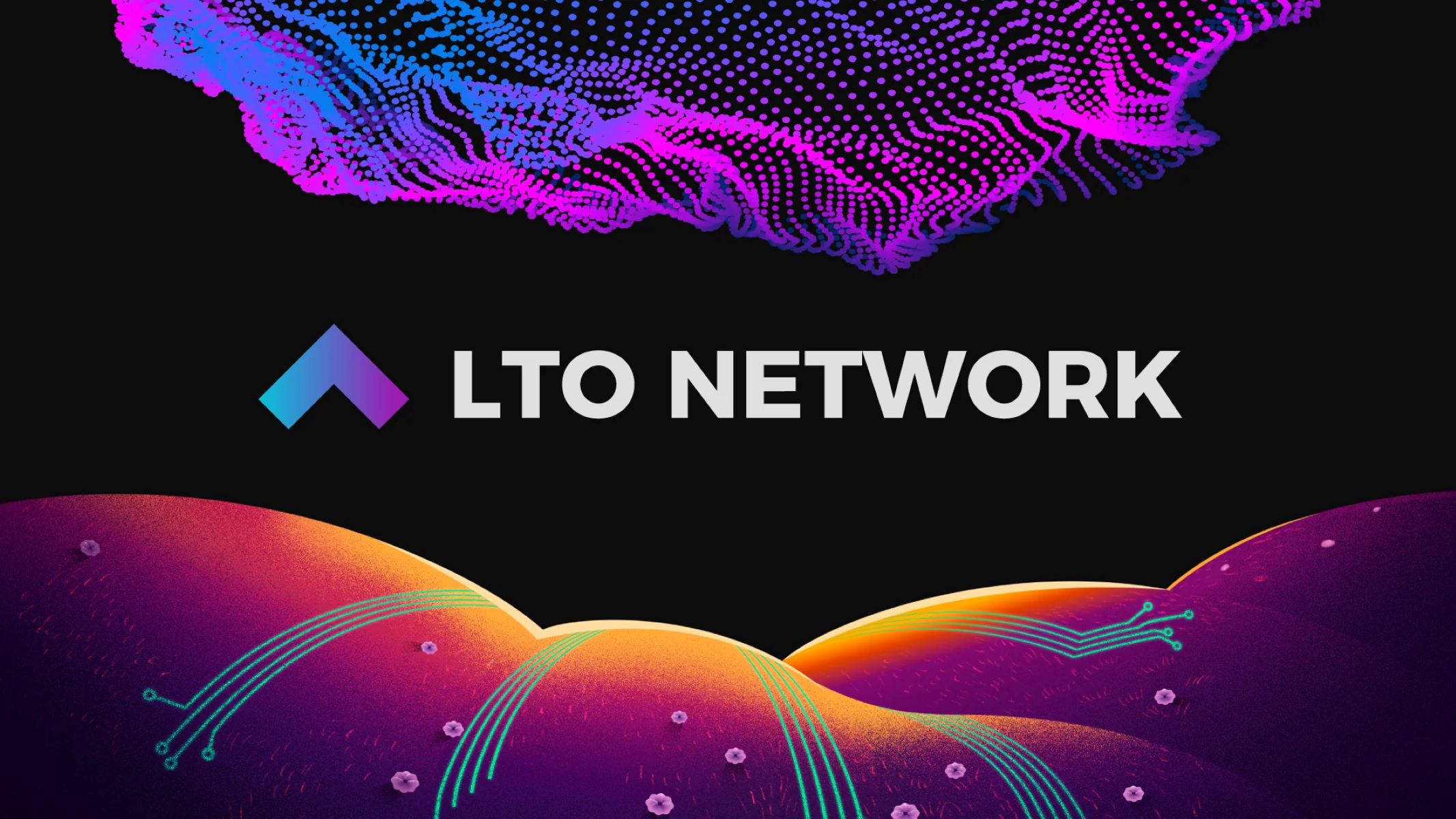 14-enigmatic-facts-about-lto-network-lto
