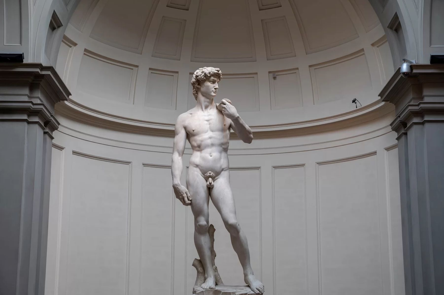 8 Extraordinary Facts About Sculpting 