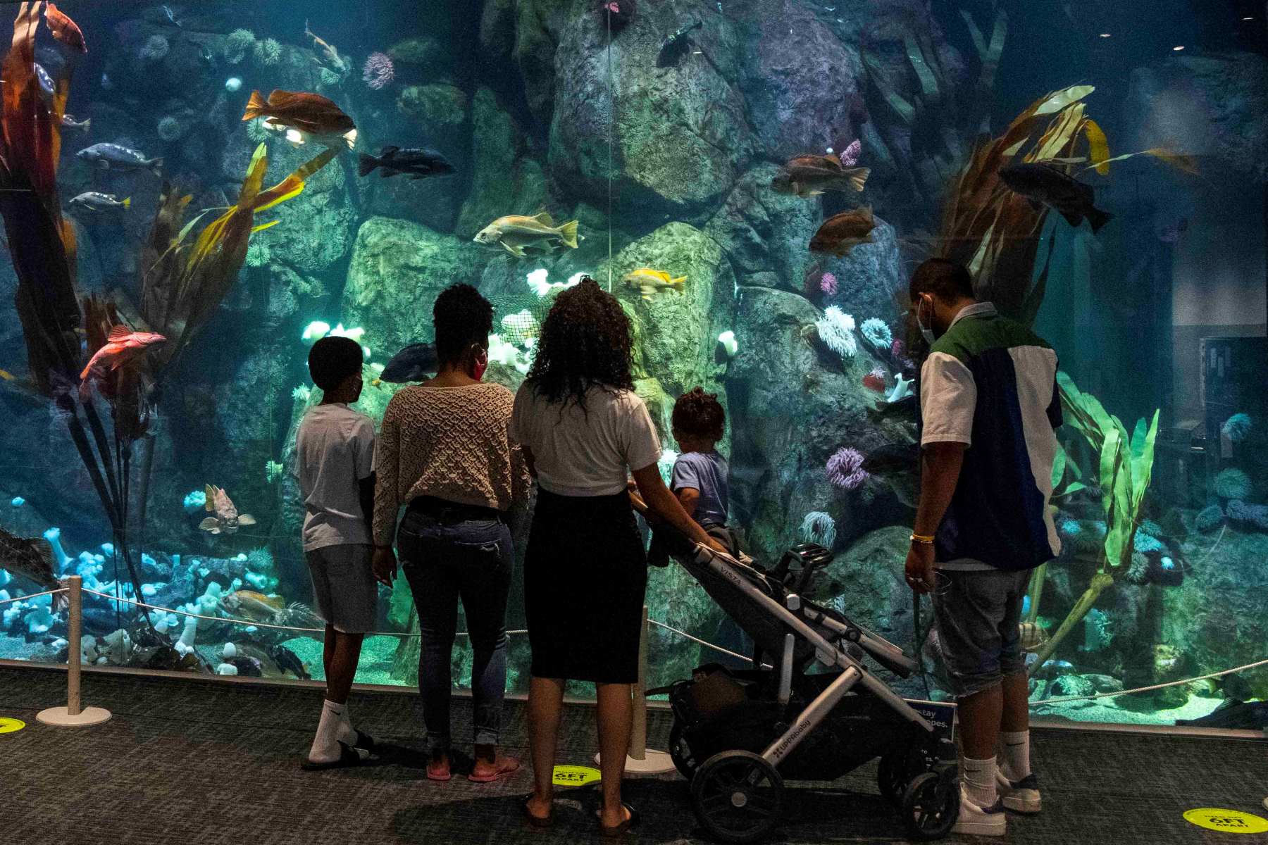 14-enigmatic-facts-about-point-defiance-zoo-aquarium