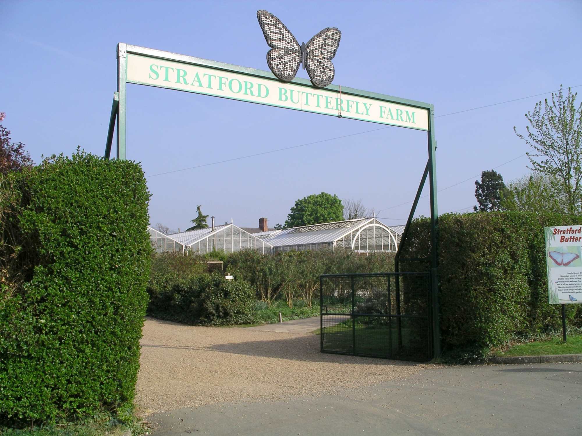 14-enigmatic-facts-about-stratford-upon-avon-butterfly-farm