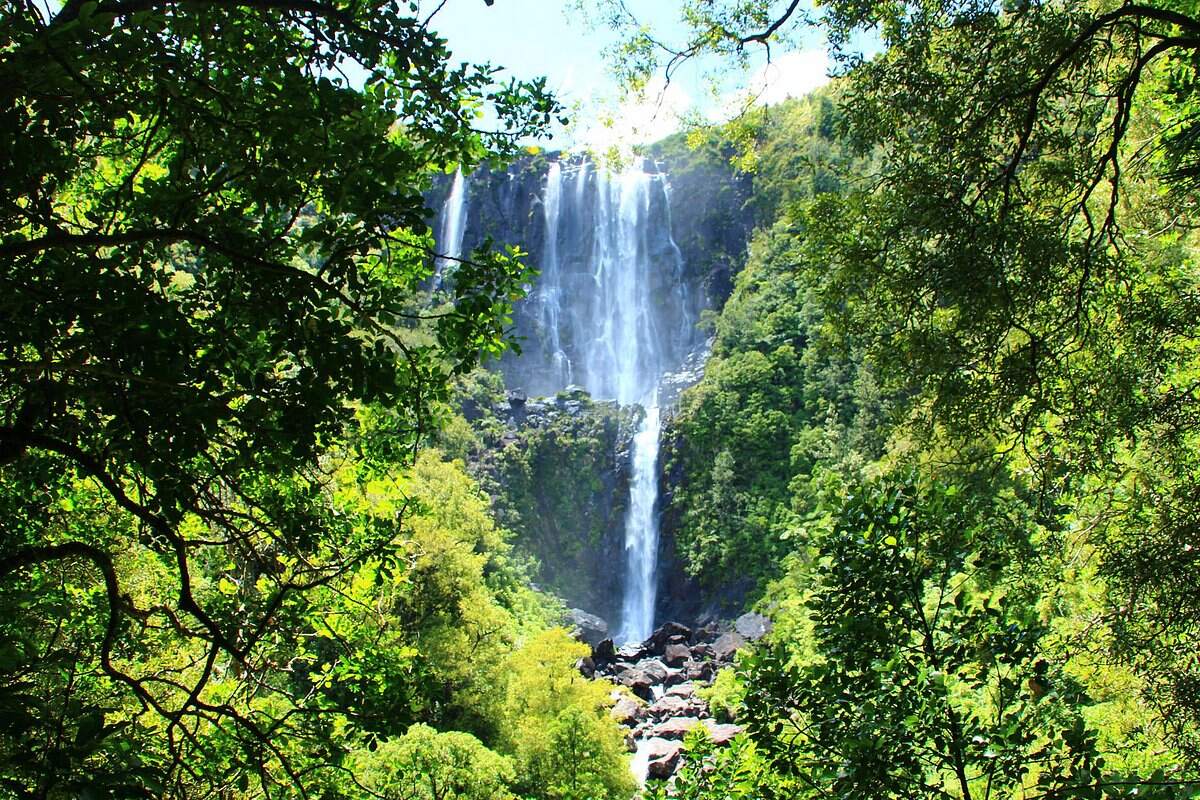 14-enigmatic-facts-about-wairere-falls