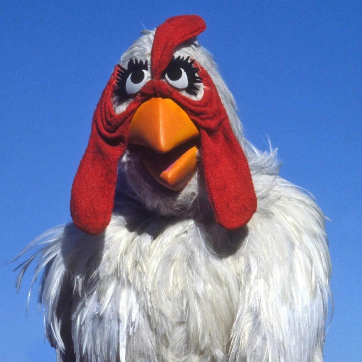 14-facts-about-camilla-the-chicken-the-muppet-show