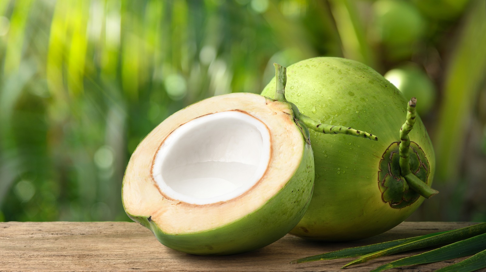 14 Facts About Coconut Facts