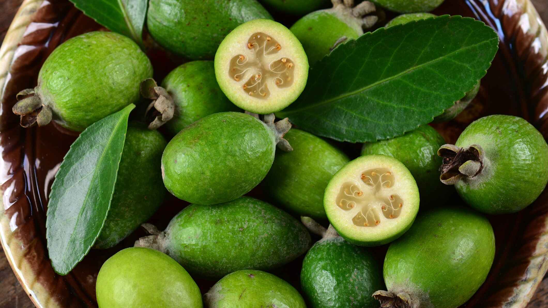 14 Facts About Feijoa - Facts.net
