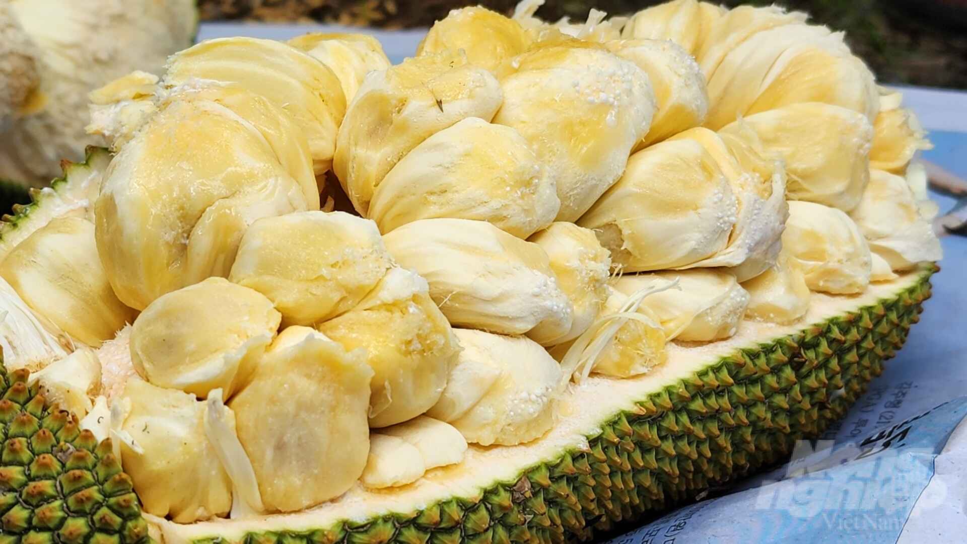 14-facts-about-jackfruit