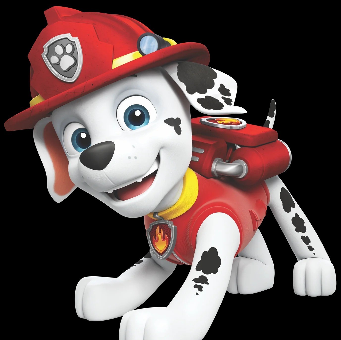 14 Facts About Marshall (Paw Patrol) 