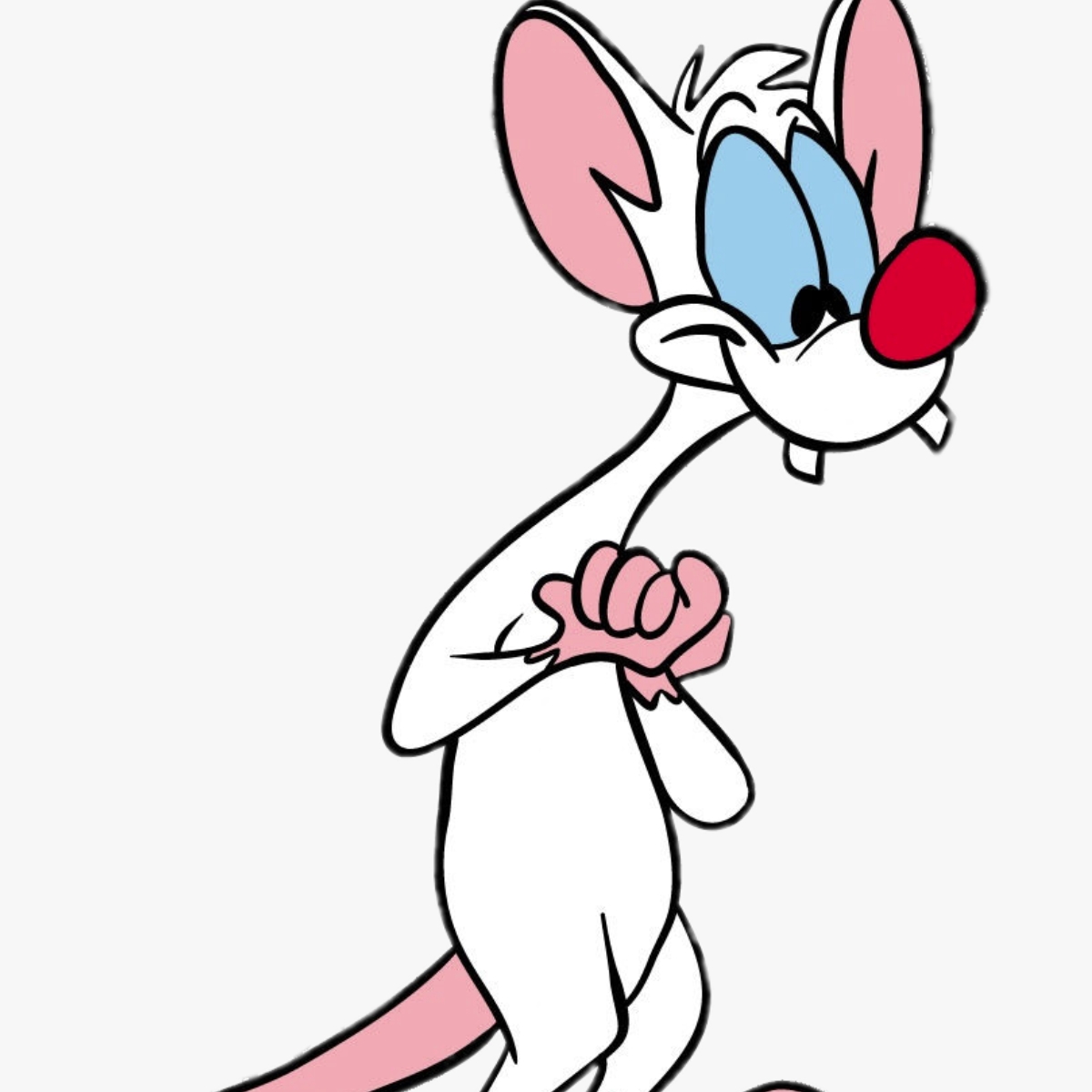 14-facts-about-pinky-pinky-and-the-brain