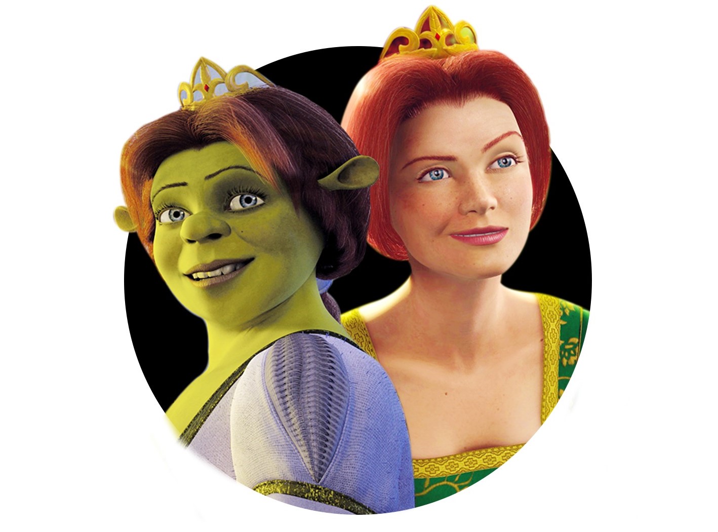 Shrek And Fiona's Love Story
