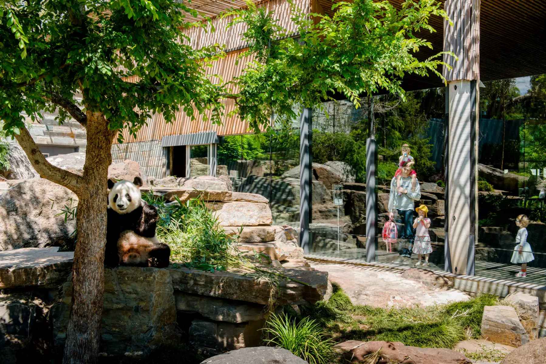 14-mind-blowing-facts-about-adelaide-zoo