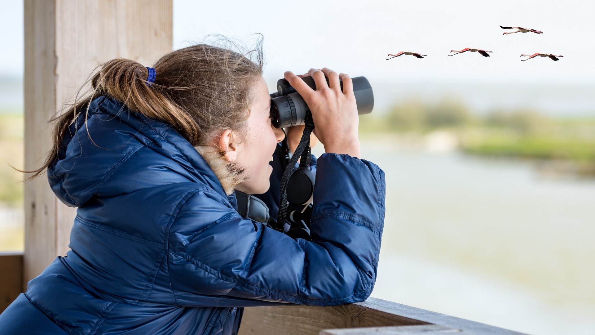 How Bird Watching Can Boost Your Mental Health | OnlyMyHealth