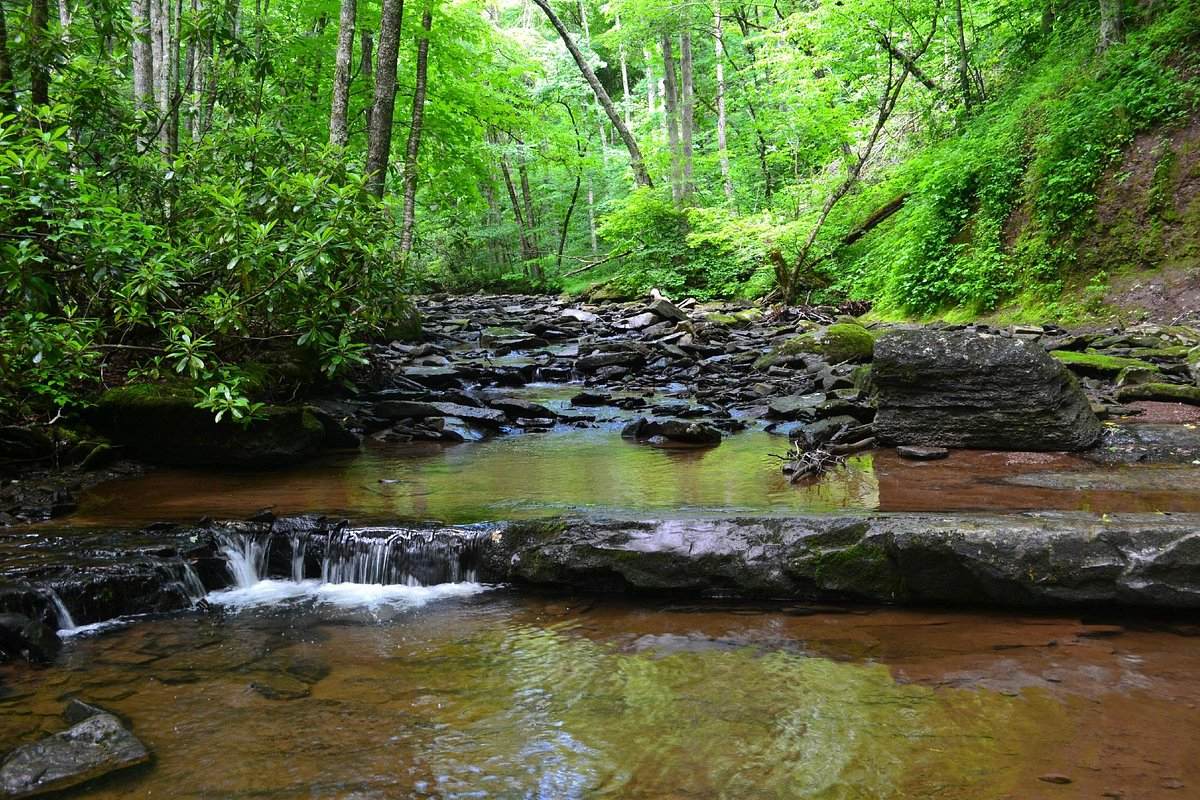 14-mind-blowing-facts-about-falls-of-hill-creek