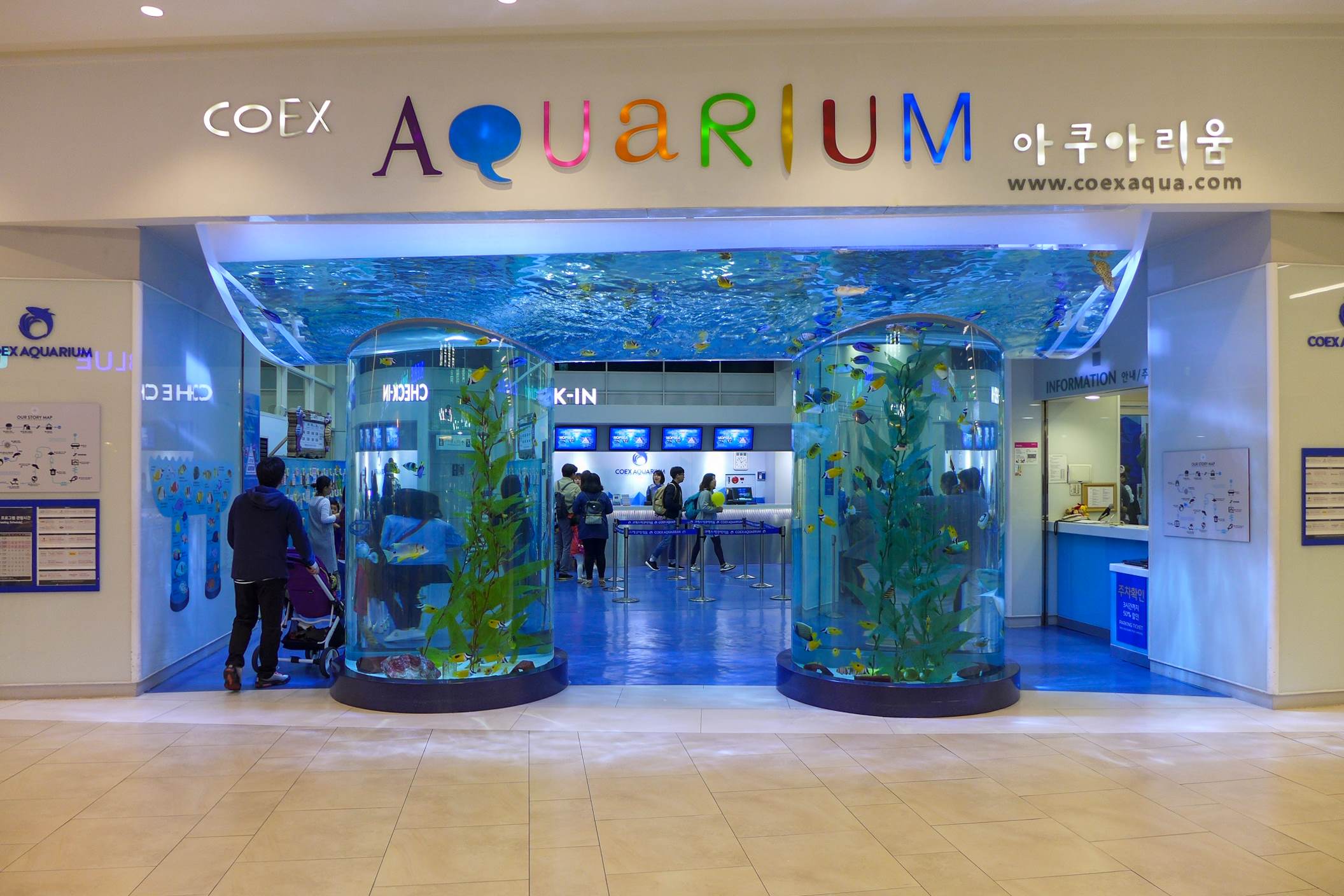 14-surprising-facts-about-coex-aquarium