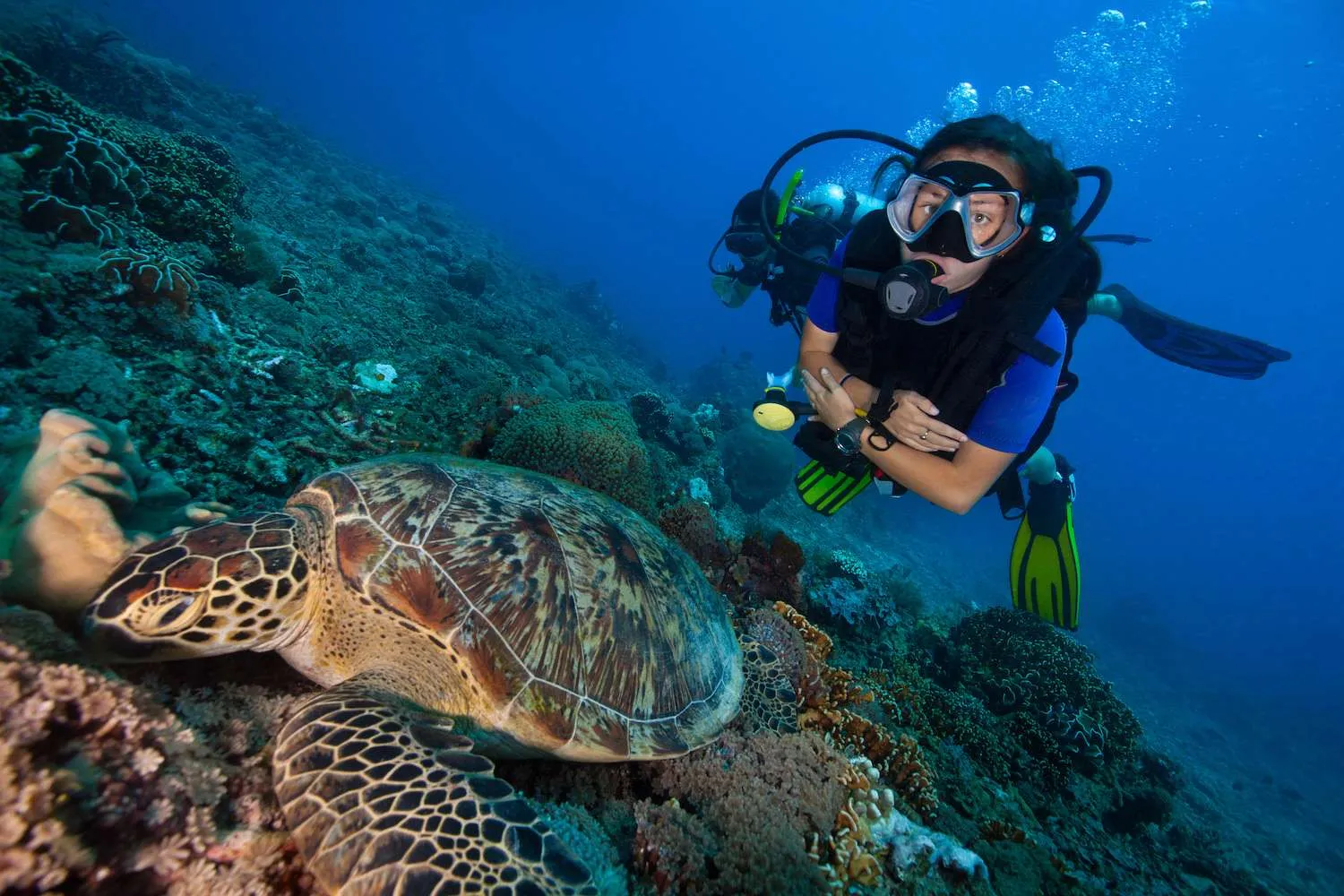 14-surprising-facts-about-marine-biologist