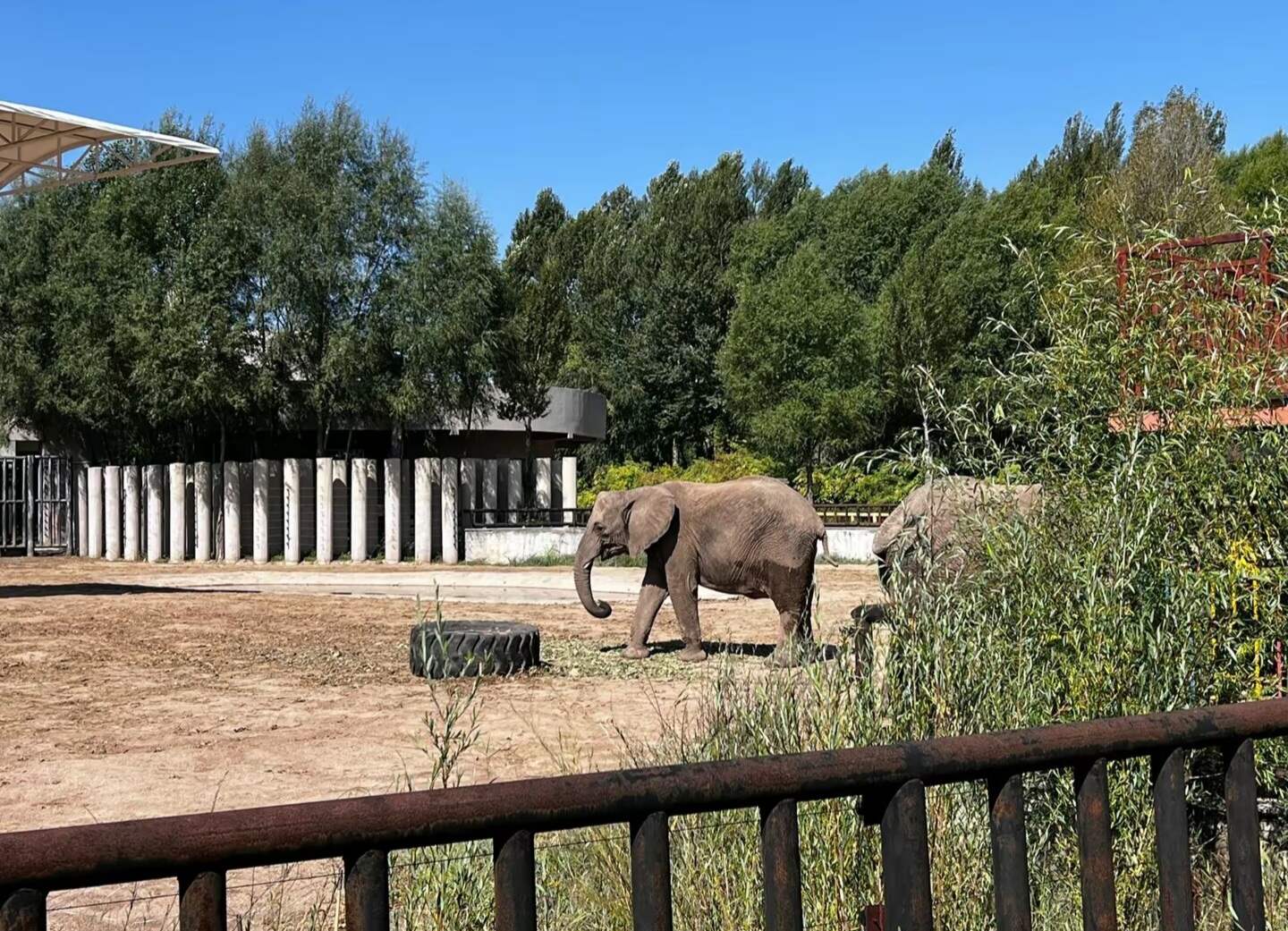 14-unbelievable-facts-about-baotou-zoo