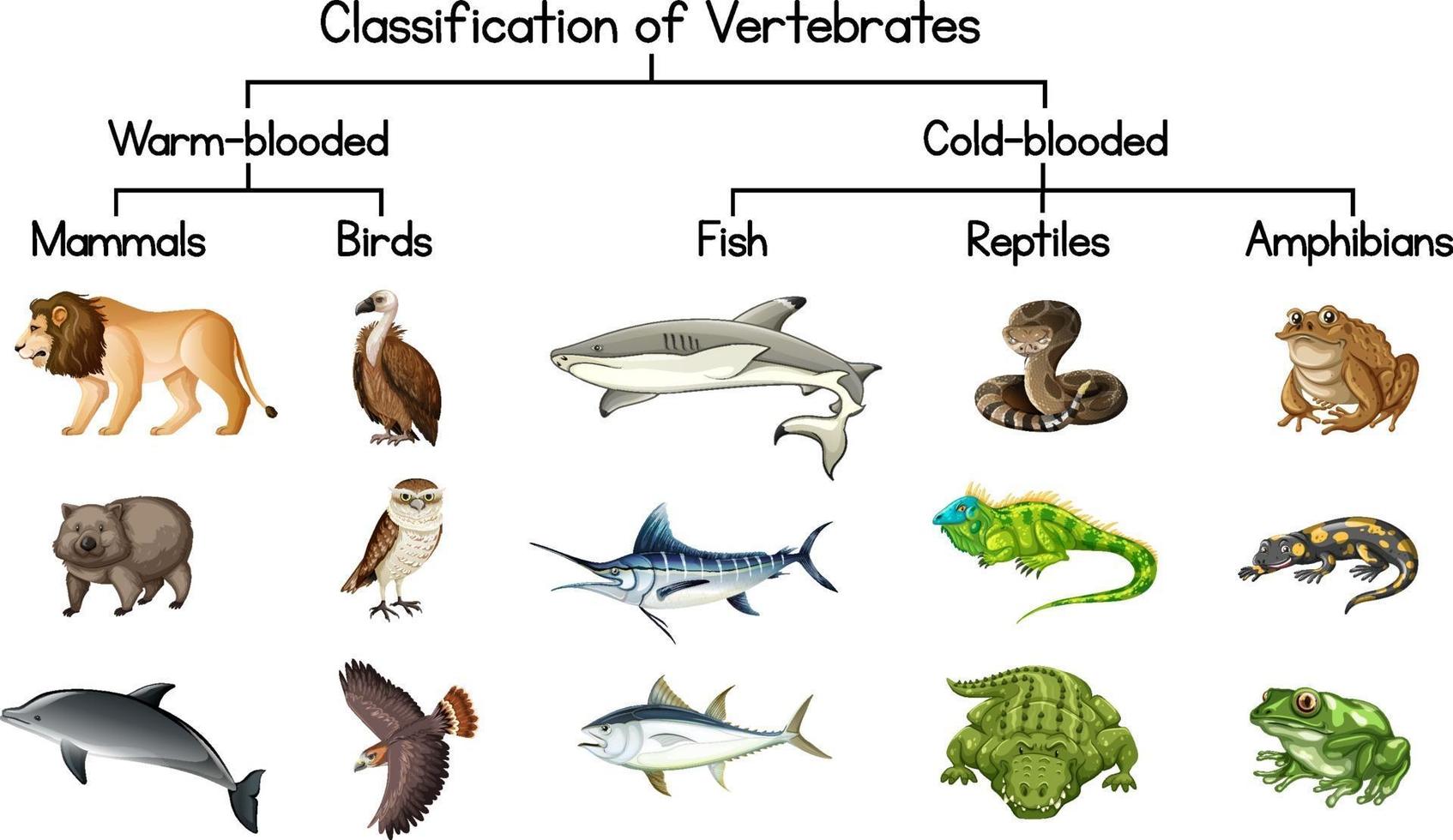 14-unbelievable-facts-about-vertebrate-taxonomy