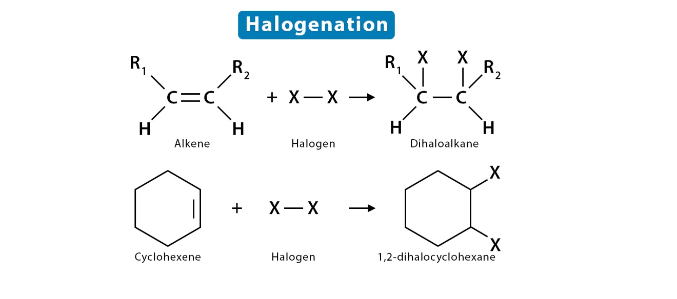 15-astonishing-facts-about-halogenation