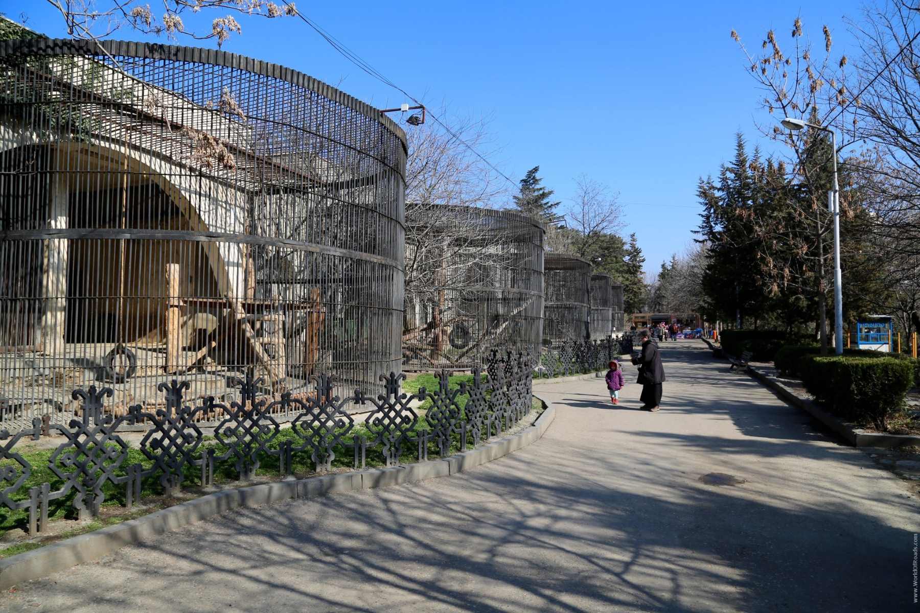 15-astonishing-facts-about-tbilisi-zoo