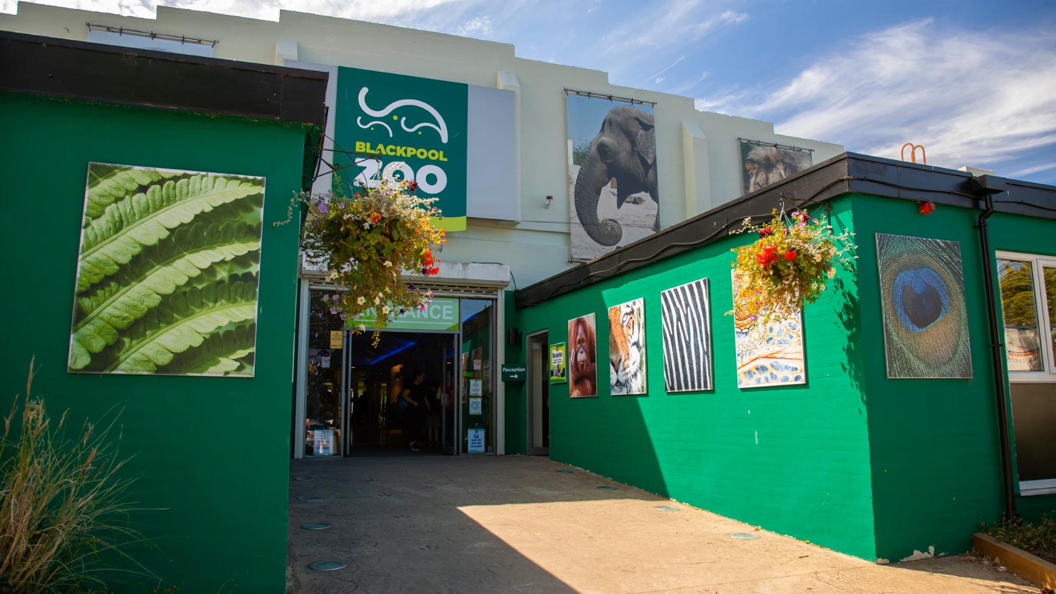 15-astounding-facts-about-blackpool-zoo