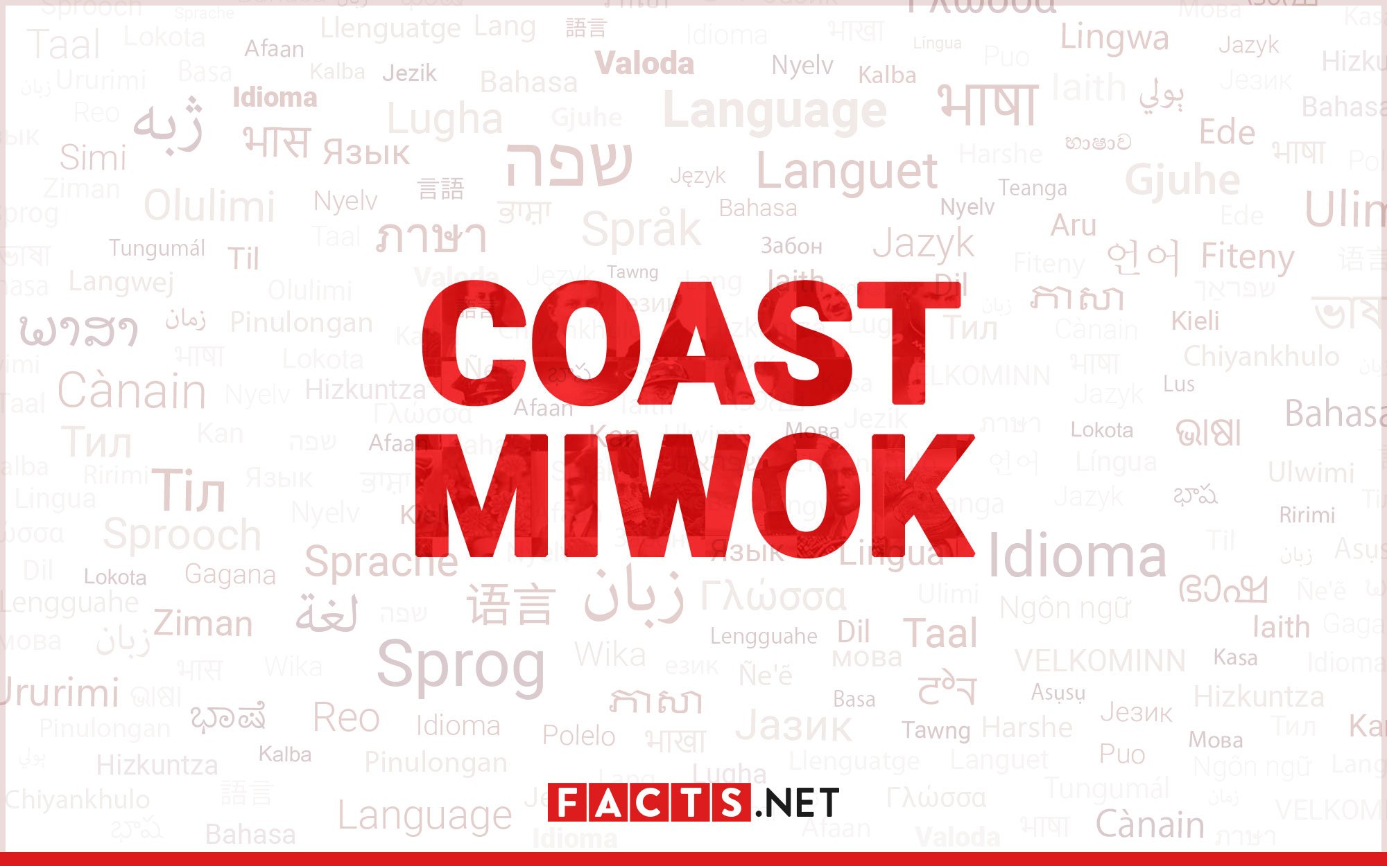 15-captivating-facts-about-coast-miwok